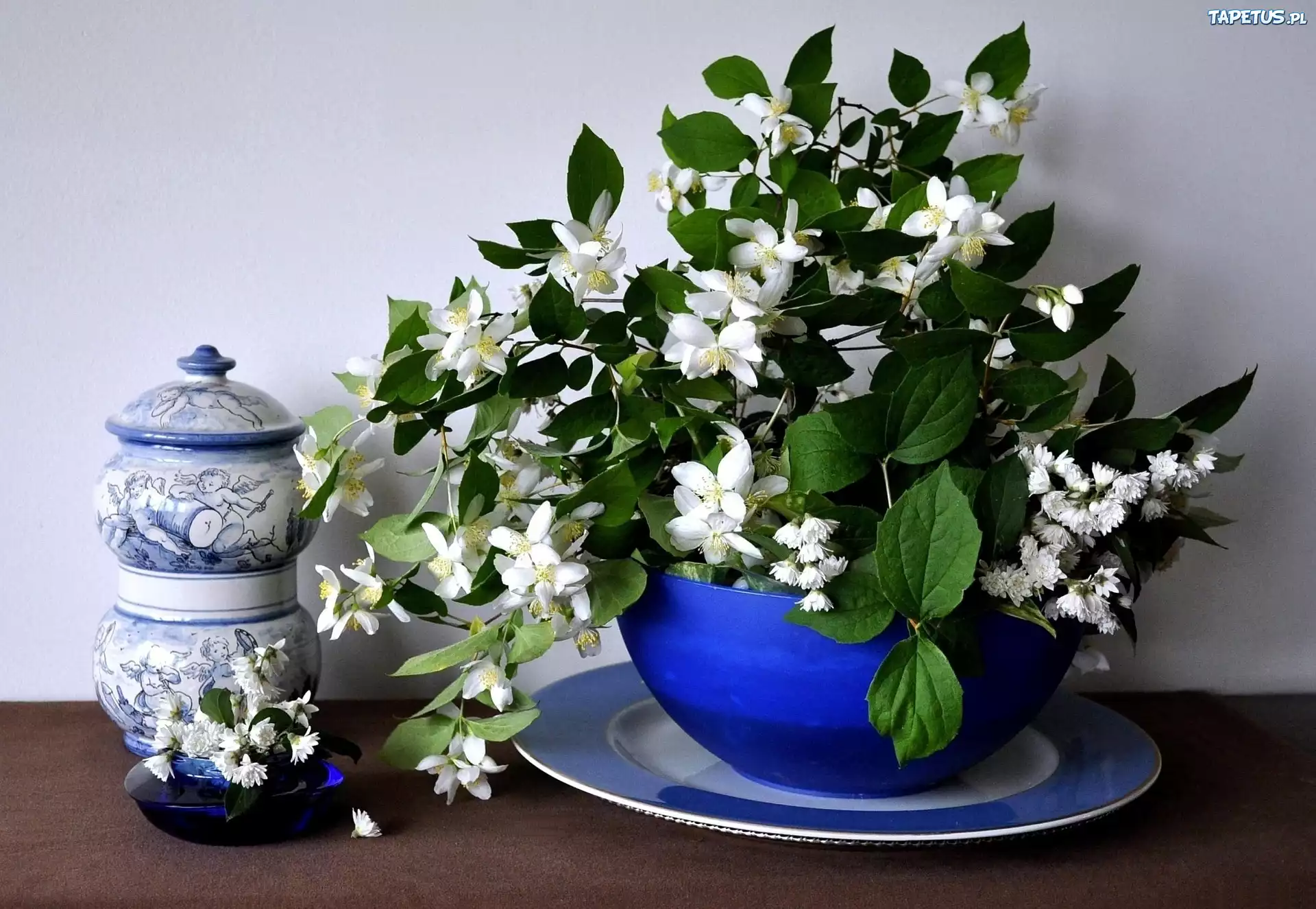 Gałązki, Jaśminu, Porcelana