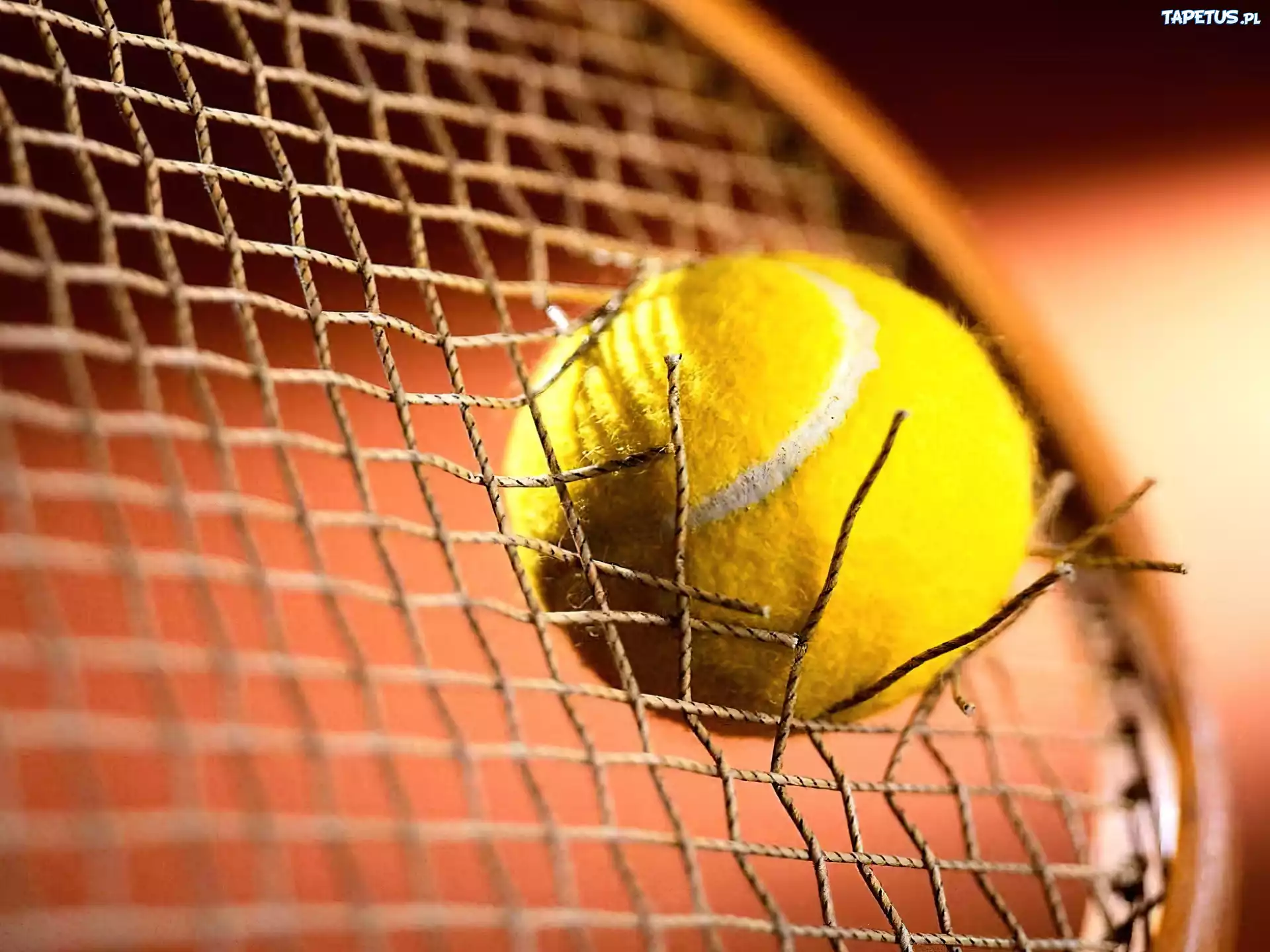 Tennis,piłka do tenisa
