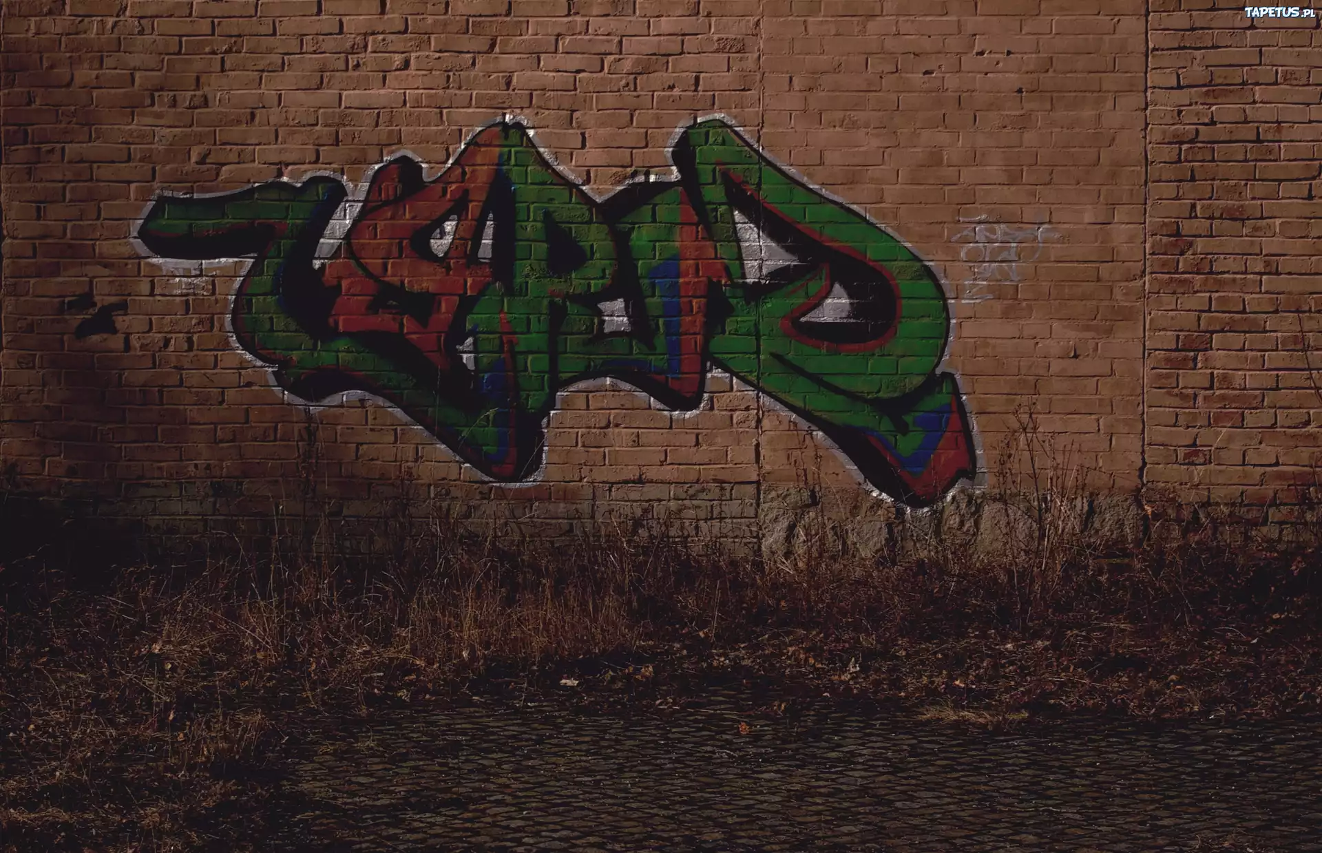 Kędzierzyn Koźle, Graffiti, Mur