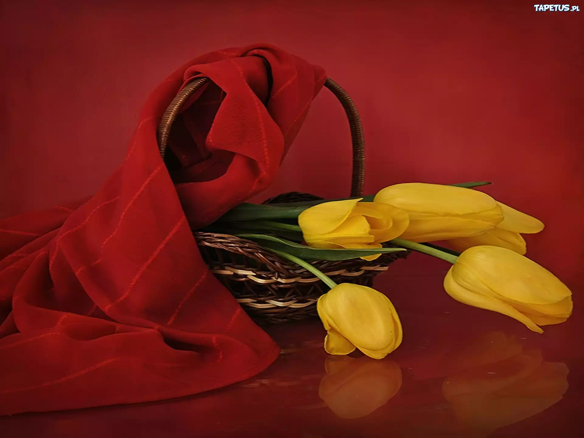 Żółte, Tulipany, Koszyk, Czerwony, Szal