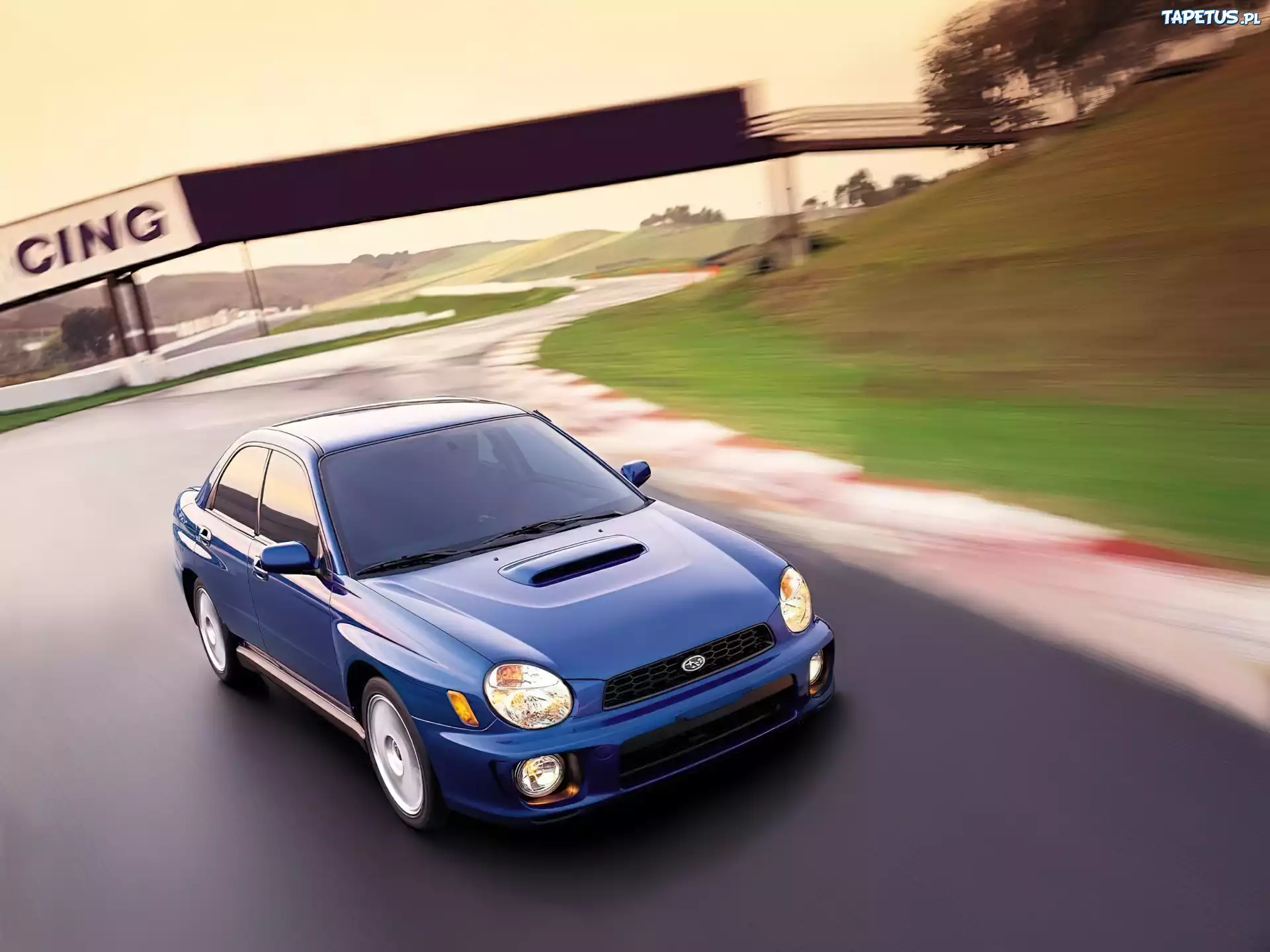 Subaru Impreza, Niebieskie