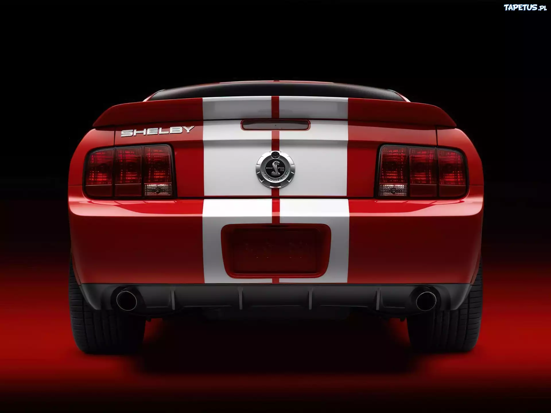 Shelby, Ford Mustang, Lampy, Tył
