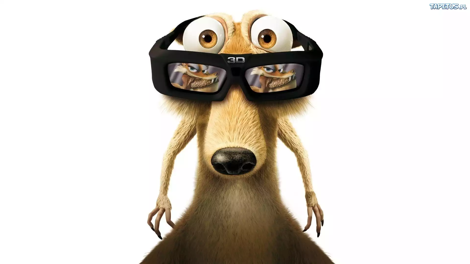 Epoka, Lodowcowa, Wiewiór, Okulary