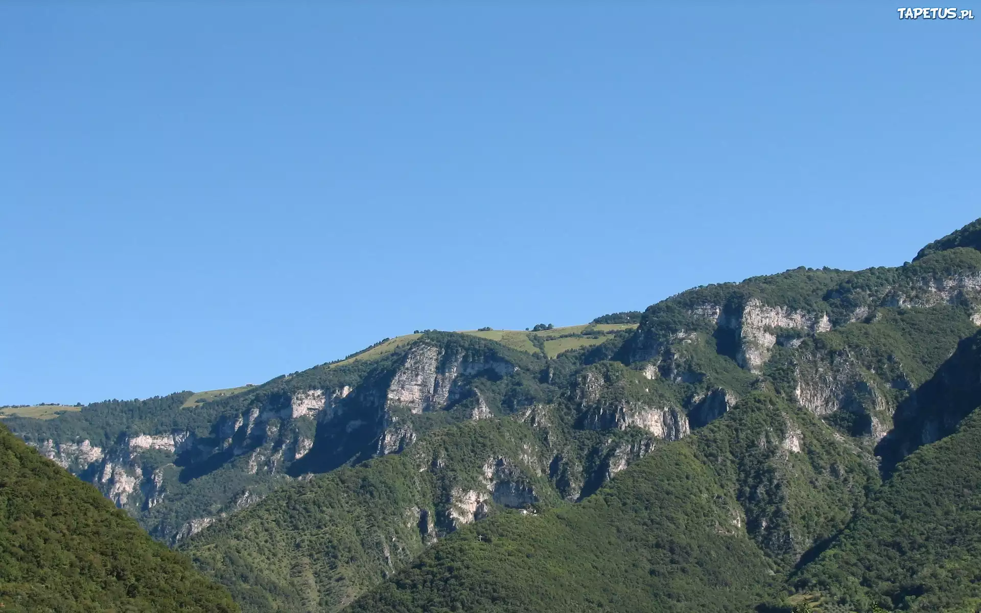 Góry, Wysokość, Las, Drzewa, Trawa