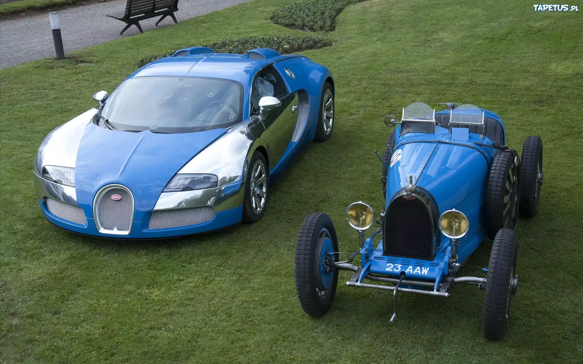 Bugatti Veyron, Bugatti T40, Trawnik