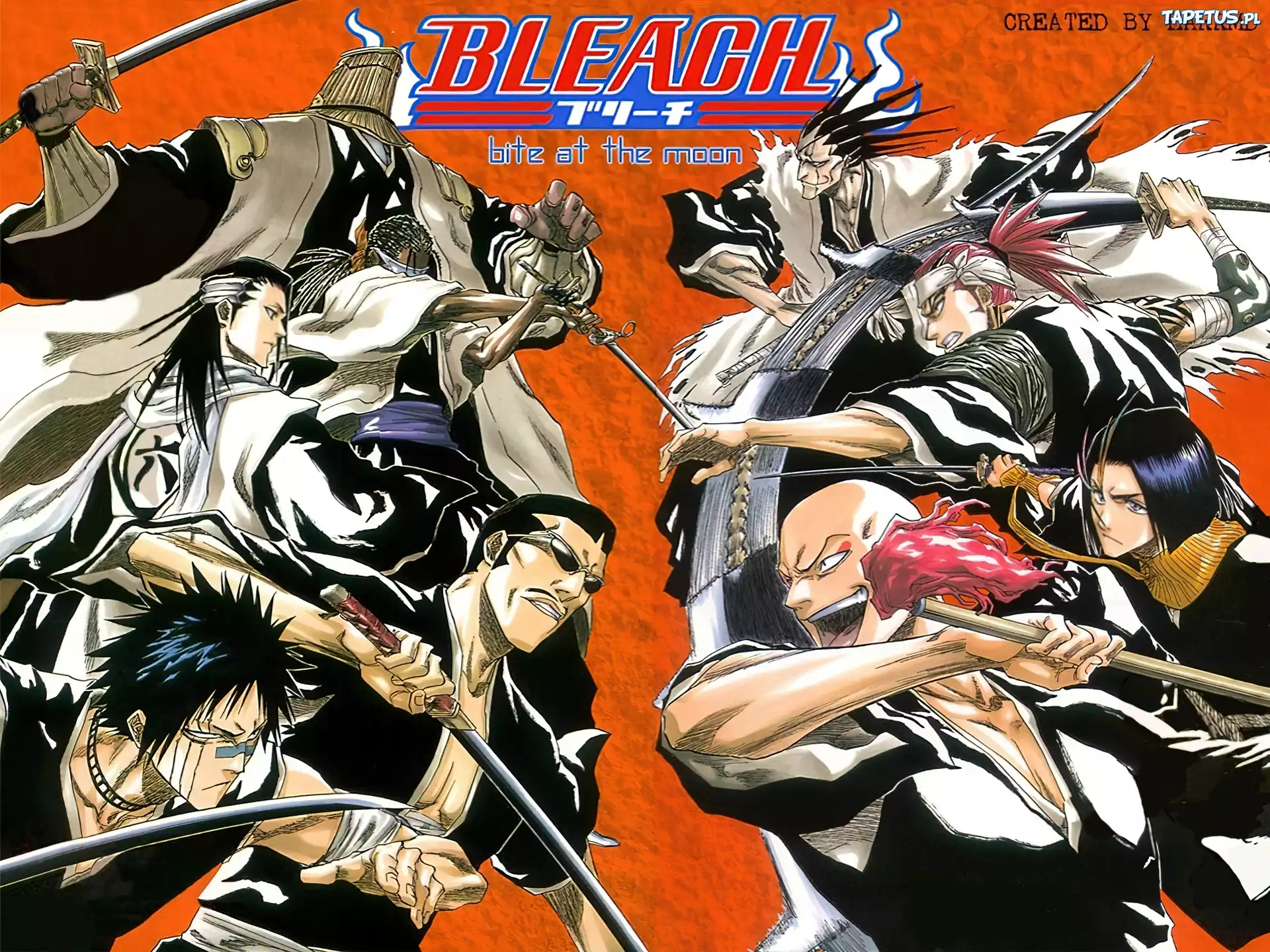 Bleach, napisy, ludzie