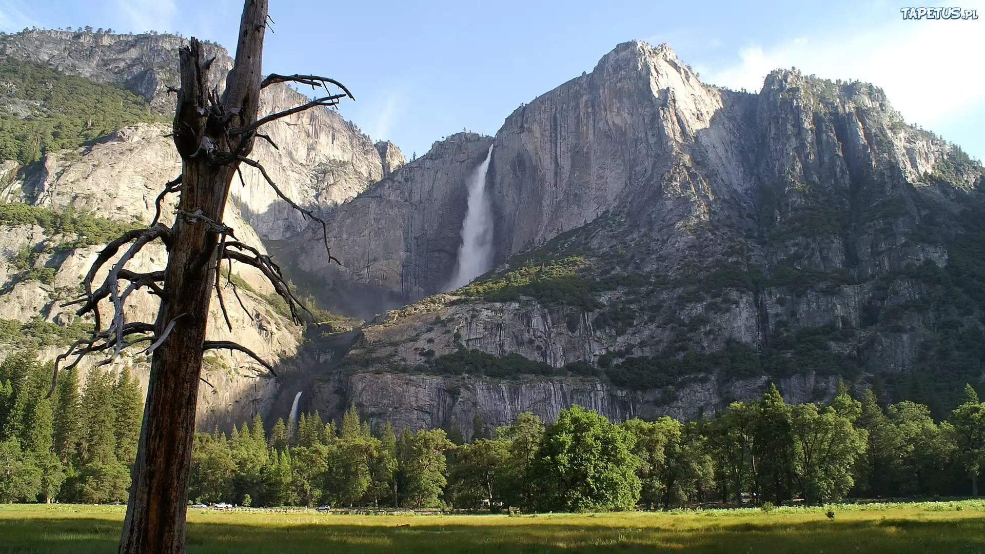 Drzewa, Łąka, Góry, Park, Narodowy, Yosemite, Kalifornia