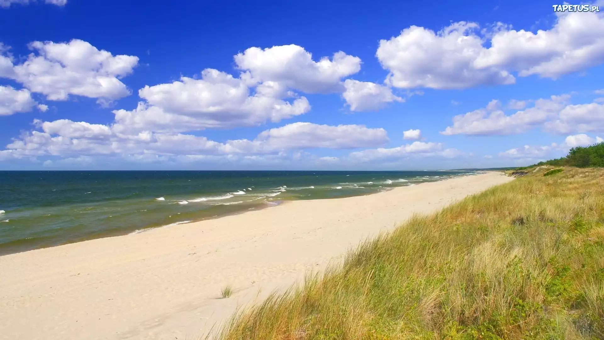 Morze, Fale, Plaża, Piasek, Trawa