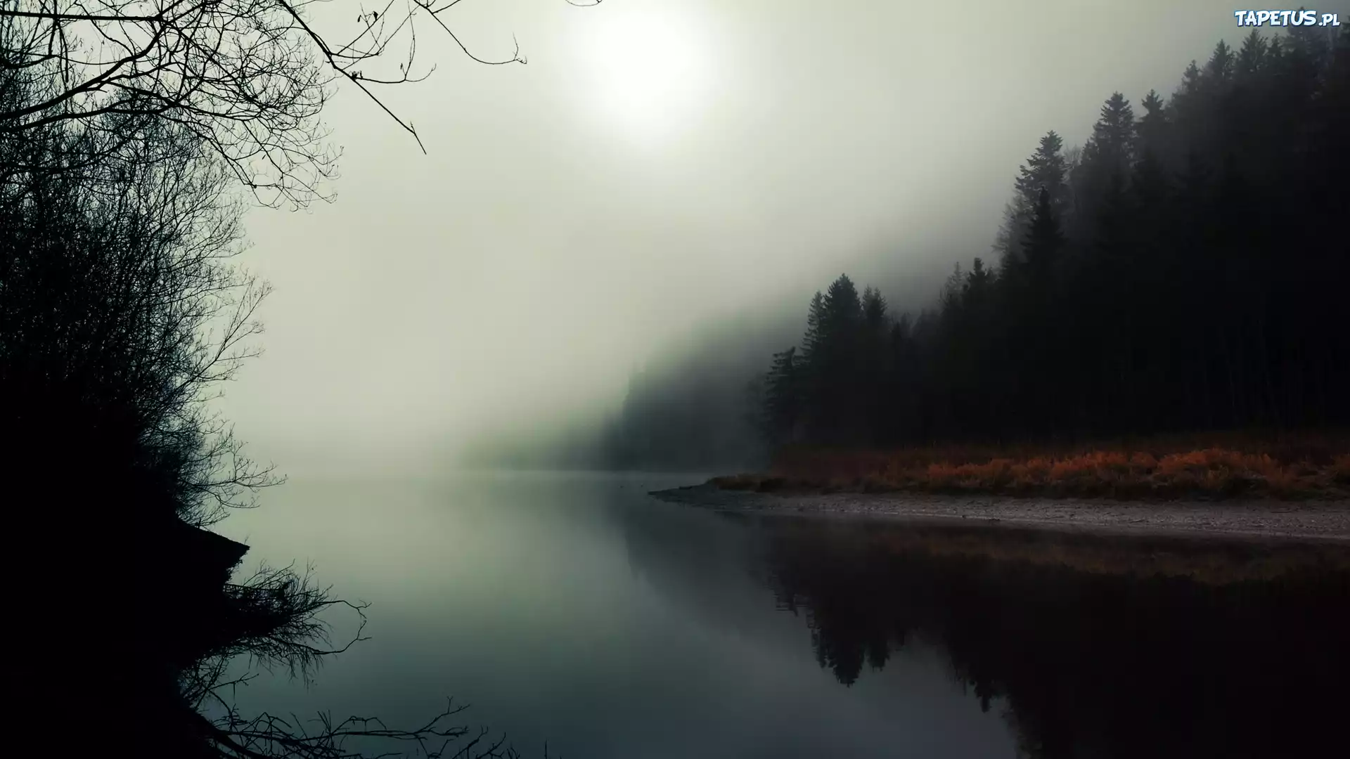 Rzeka, Las, Mgła