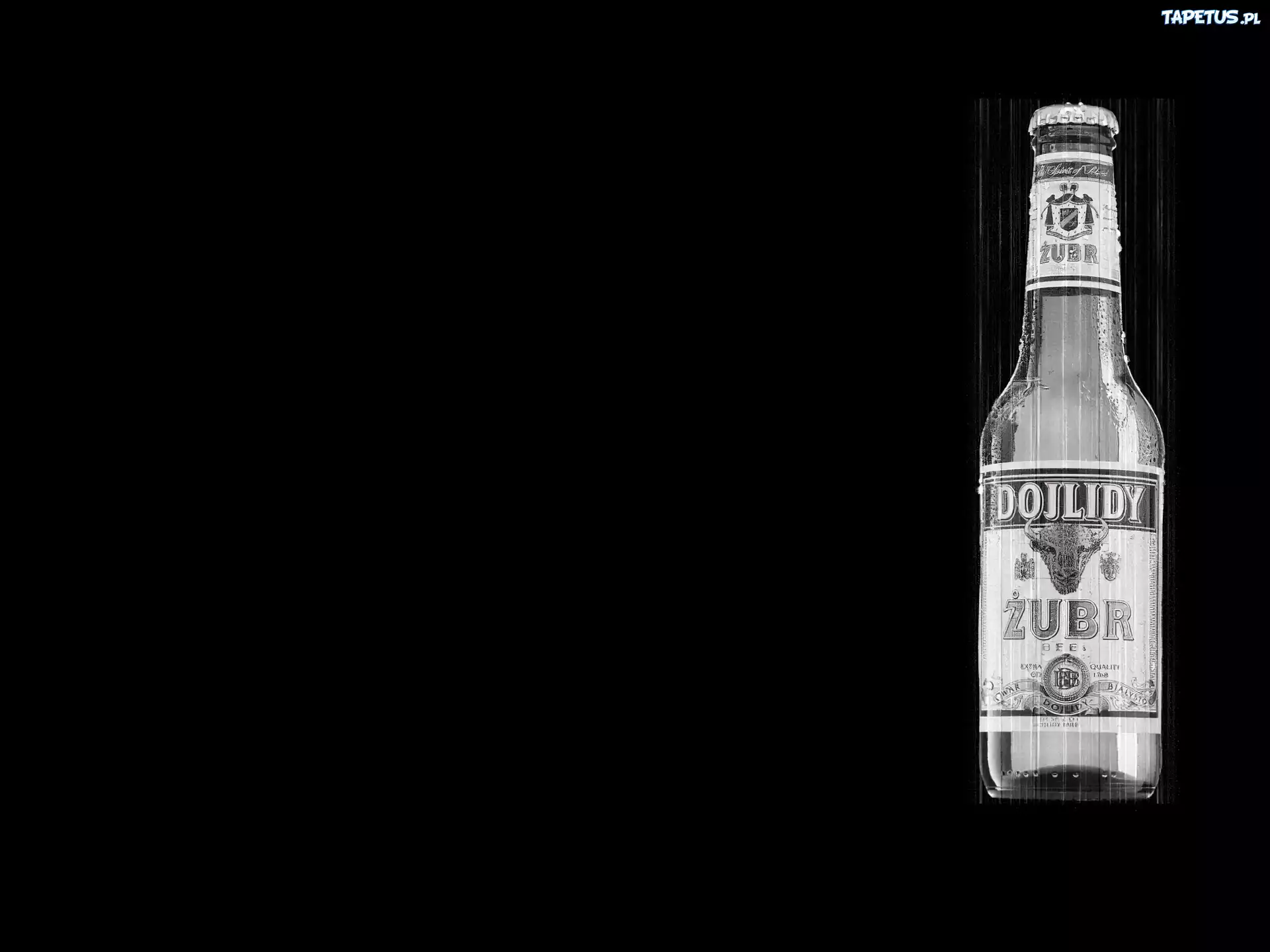 Dojlidy, Żubr