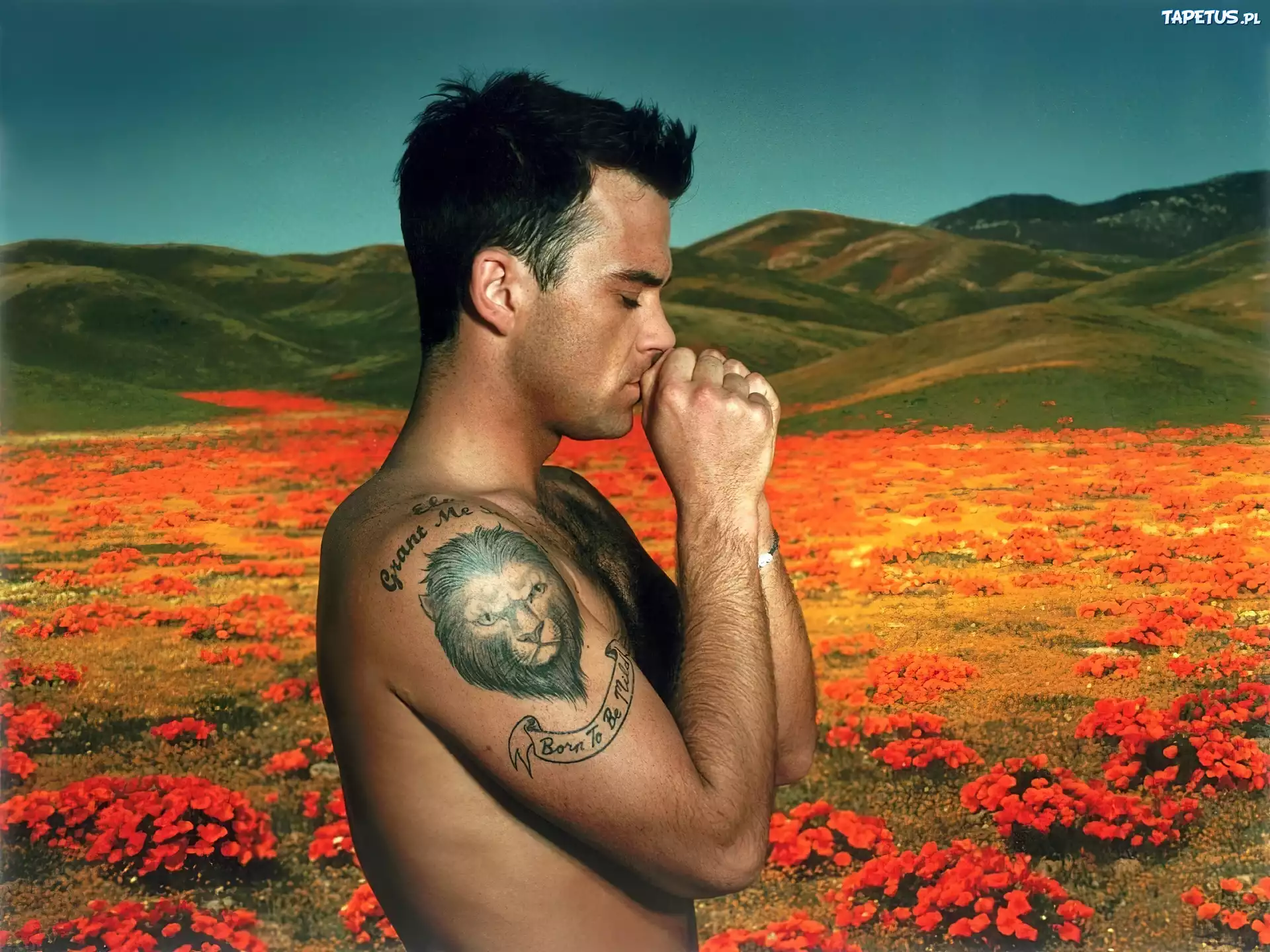 Robbie, Williams, Piosenkarz, Tatuaż, Łąka