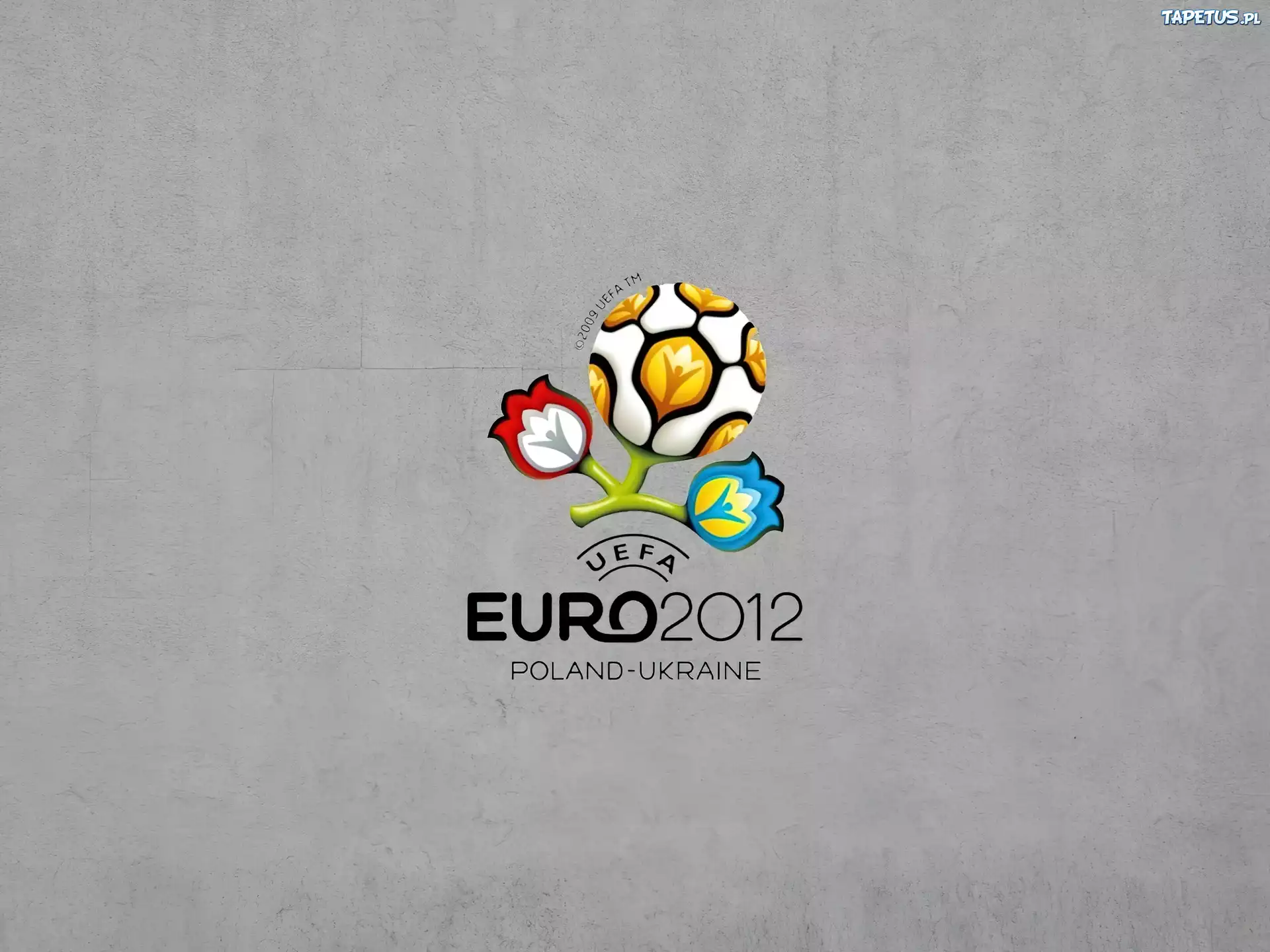 Logo, Euro, 2012