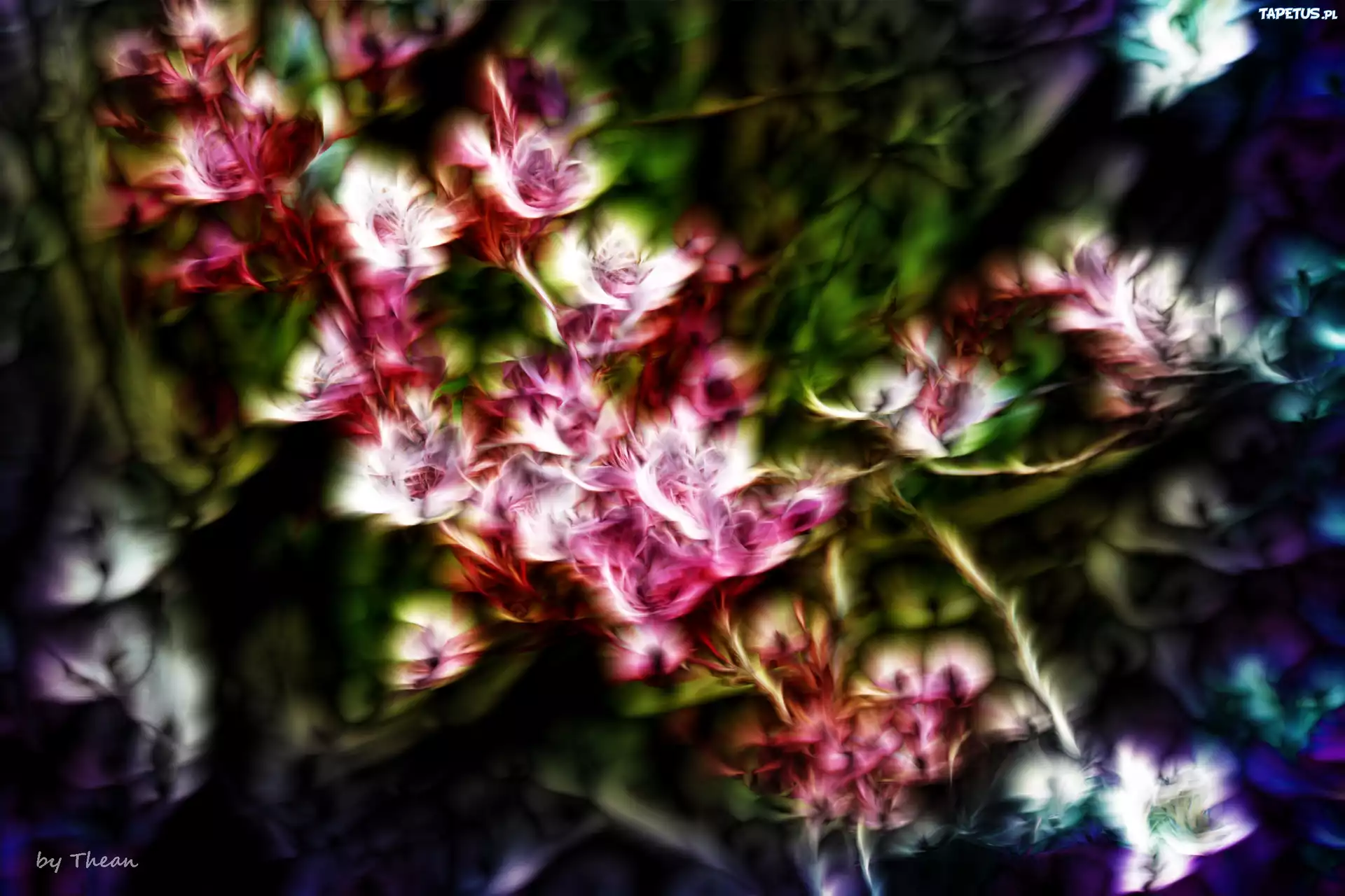 Drzewo, Owocowe, Fractalius