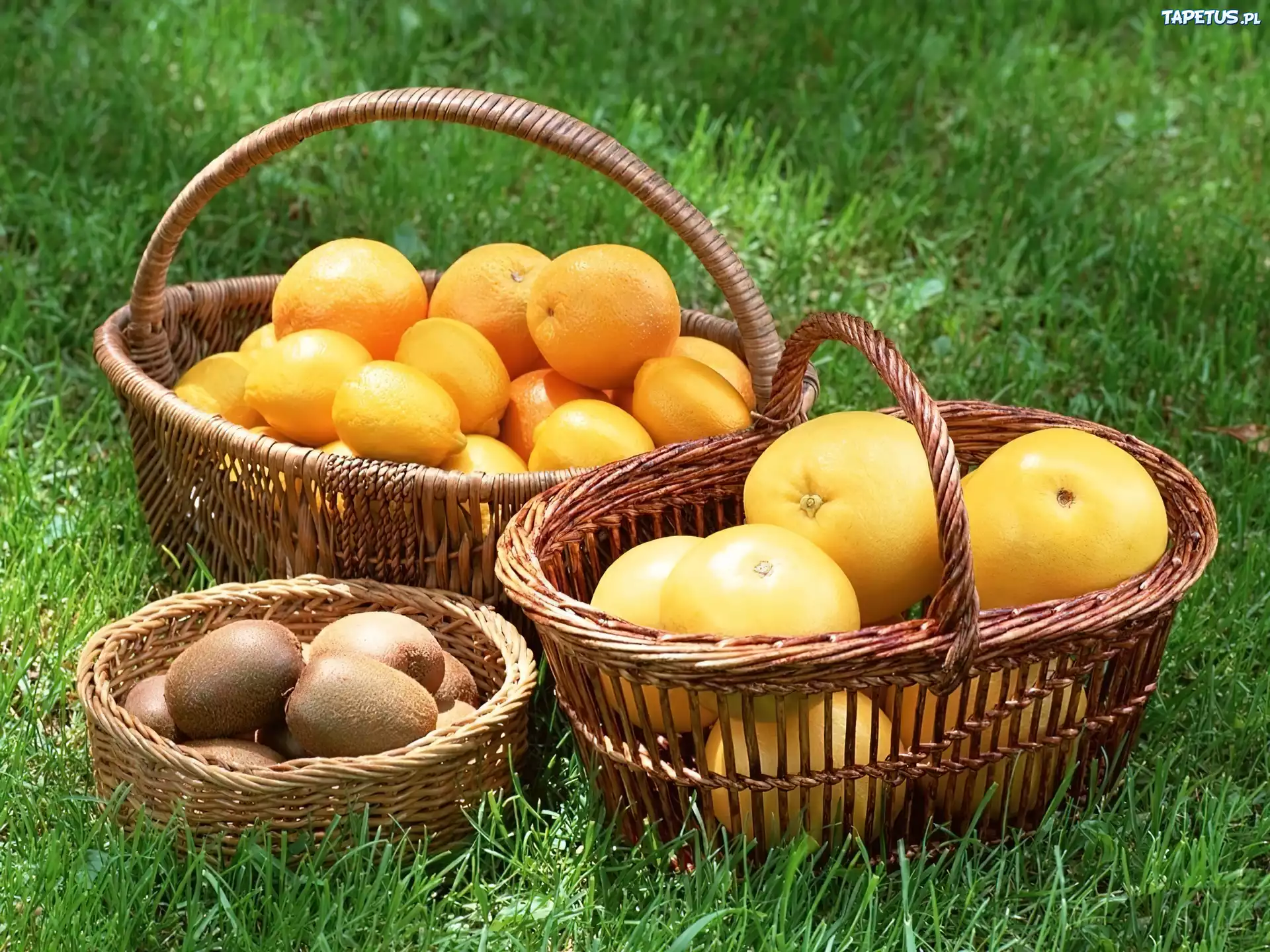 Wiklinowe, Kosze, Cytryny, Kiwi, Grejpfruty