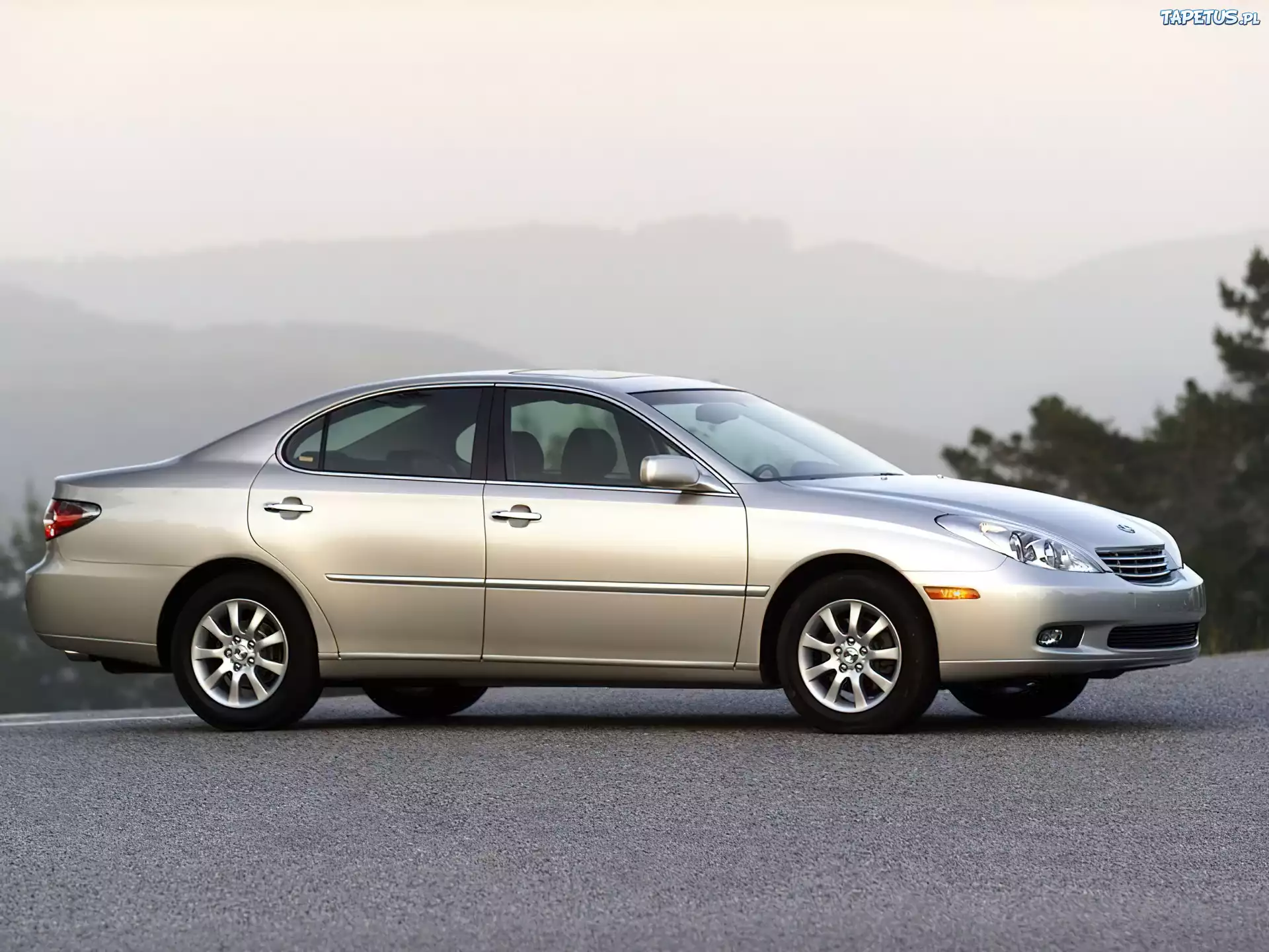 Lexus, ES, Prawy Profil