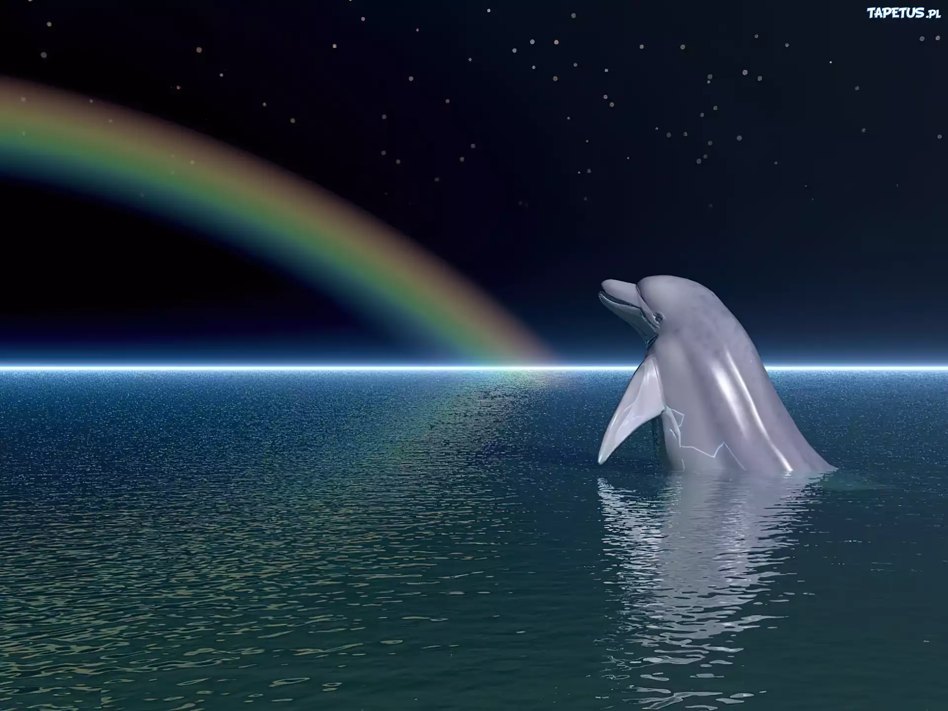 Delfin, Tęcza, Ocean