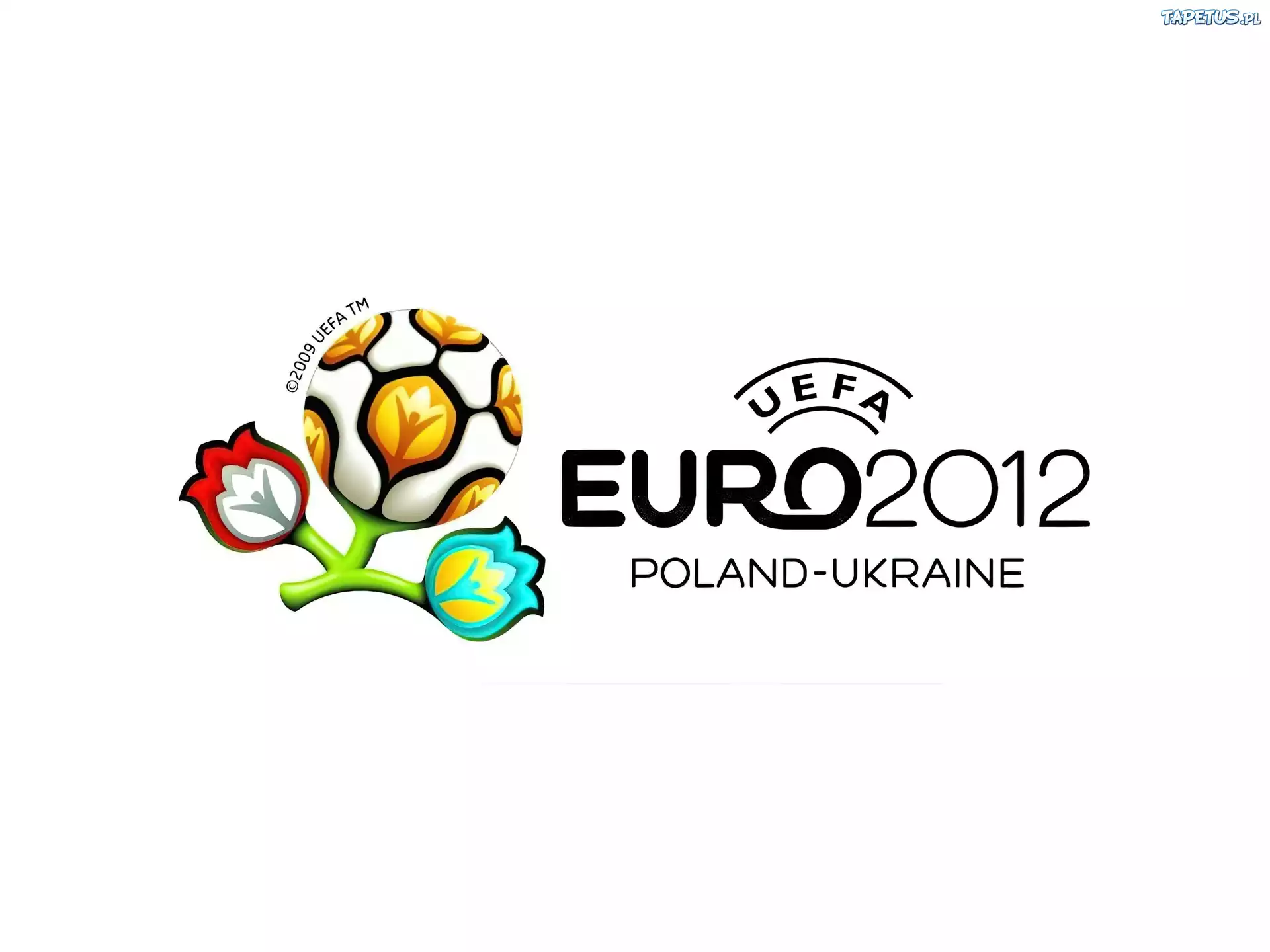 Logo, Euro, 2012