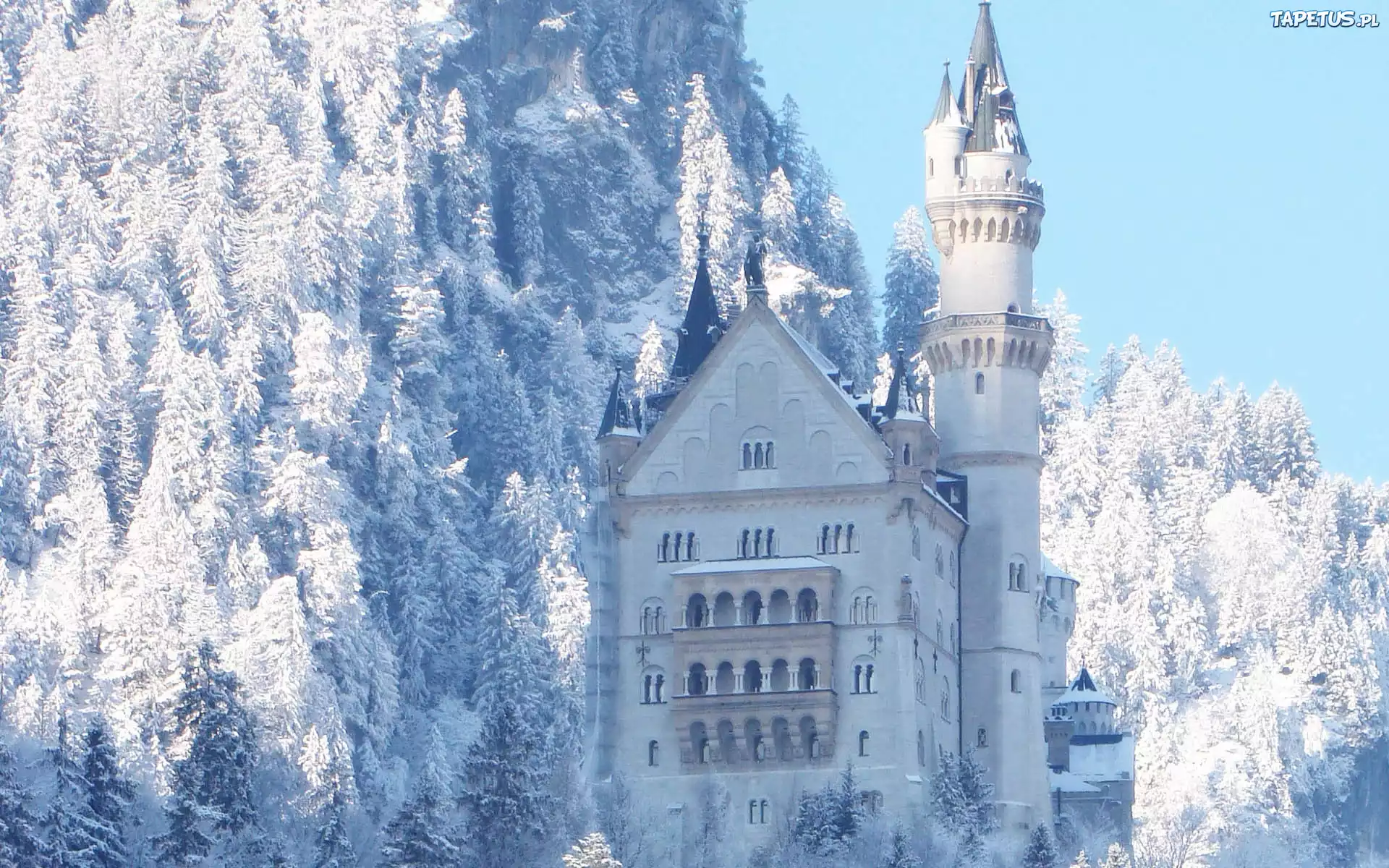 Zamek, Neuschwantein, Las