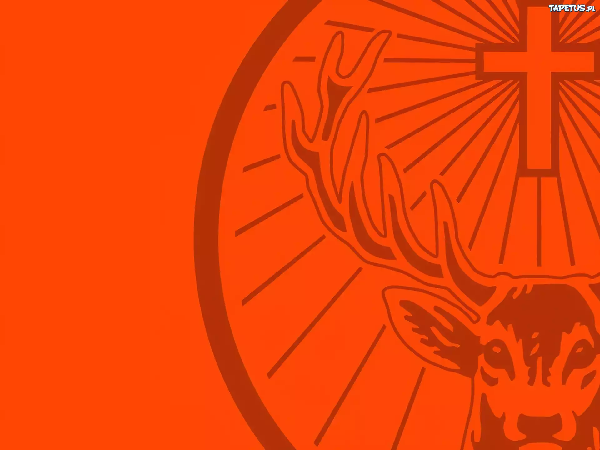 Jaegermeister, jeleń
