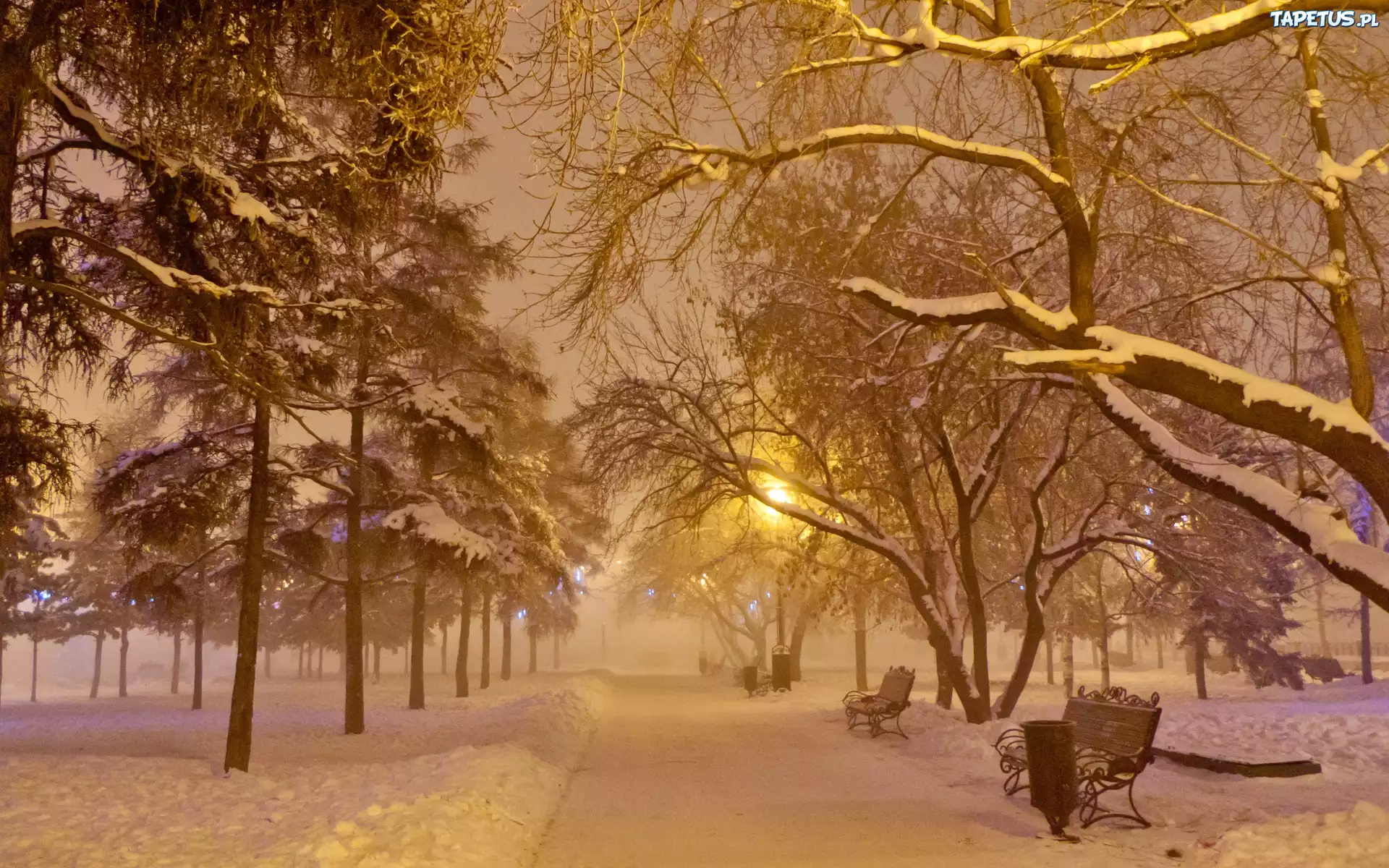 Zima, Park, Ławki