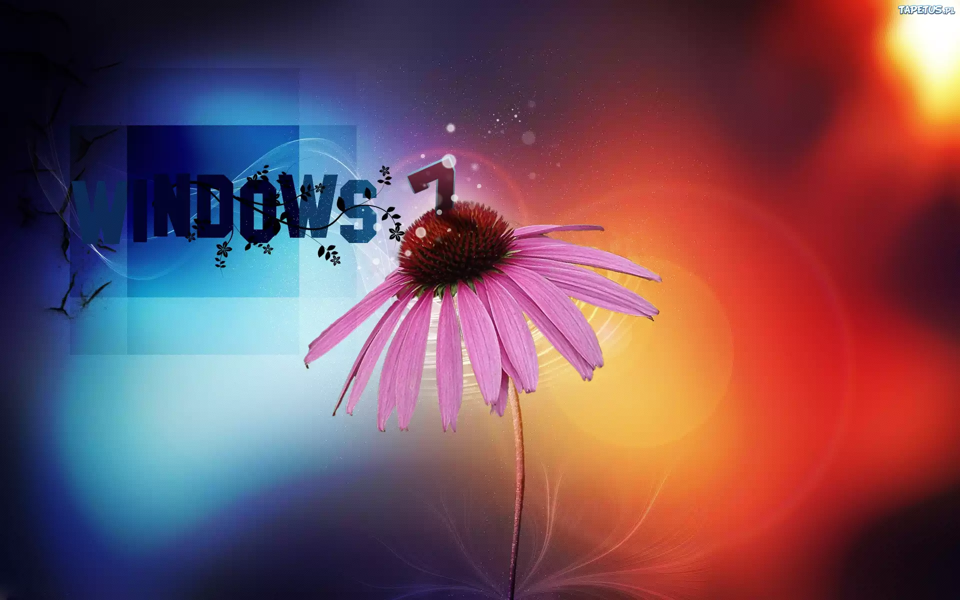 System, Operacyjny, Windows