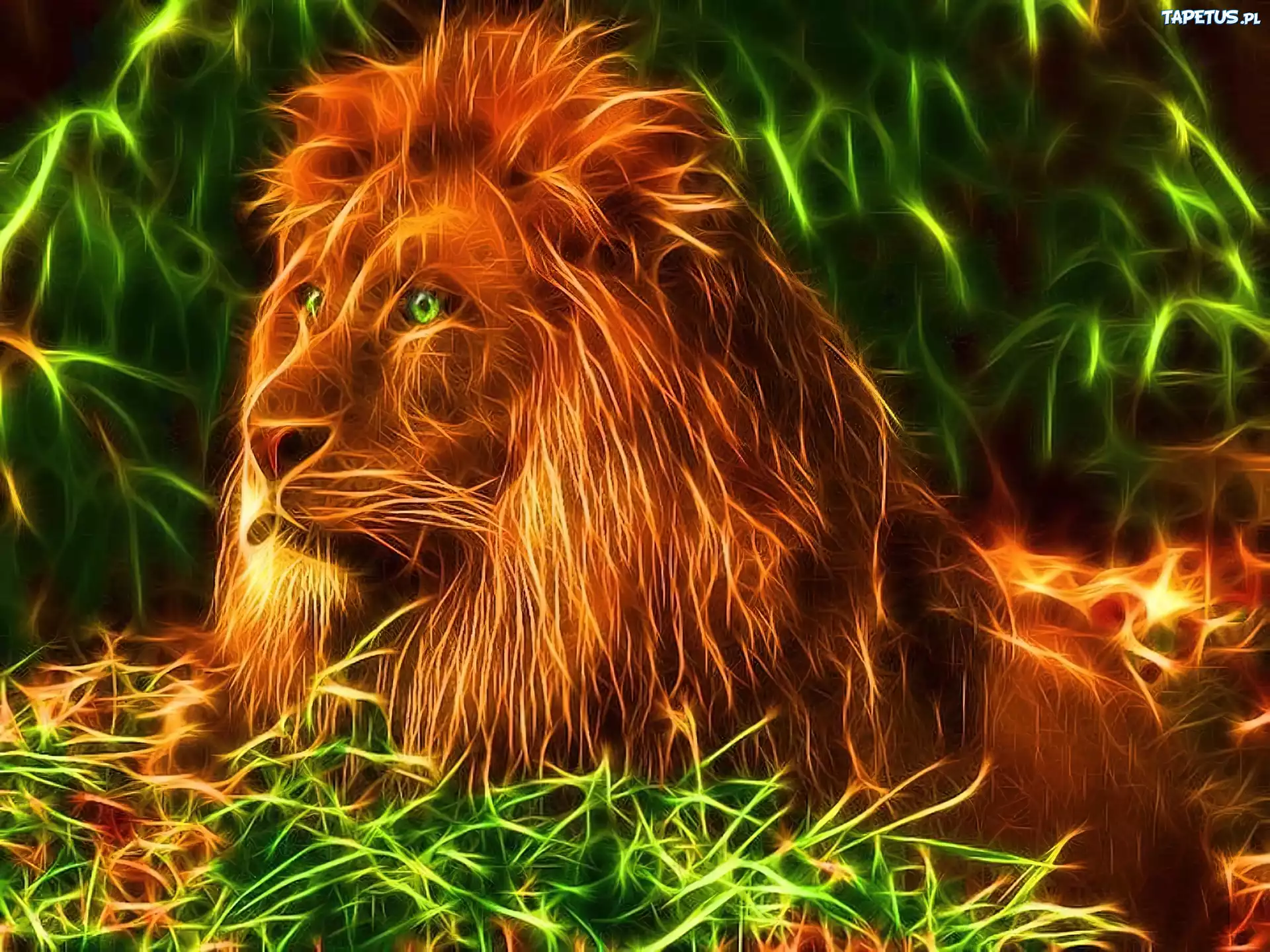 Lew, Grzywa, Fractalius
