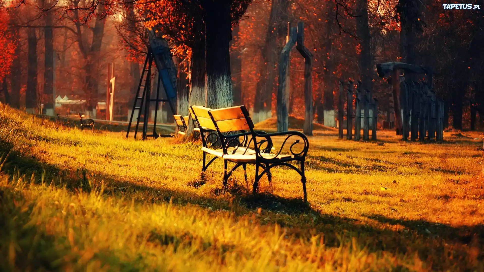 Ławeczki, Drzewa, Drabinka