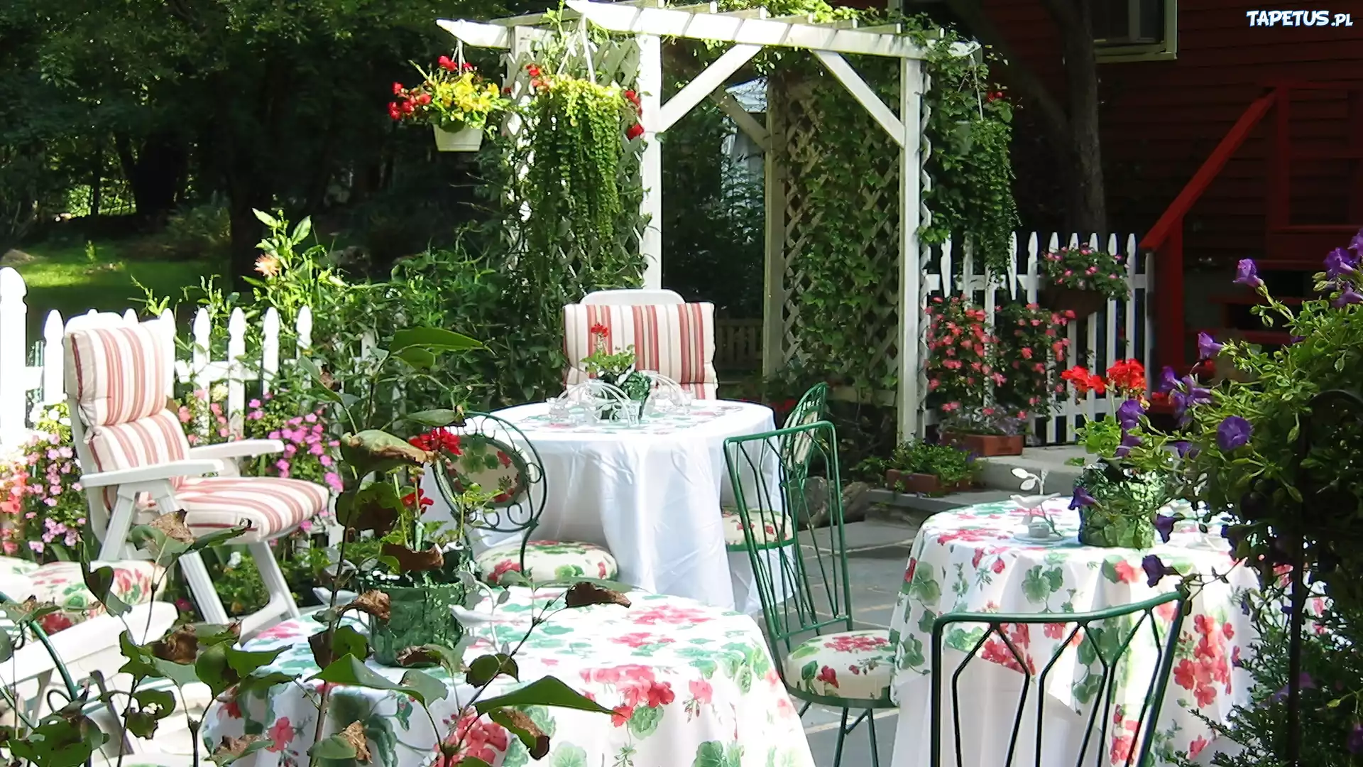 Ogród, Stoliki, Pergola