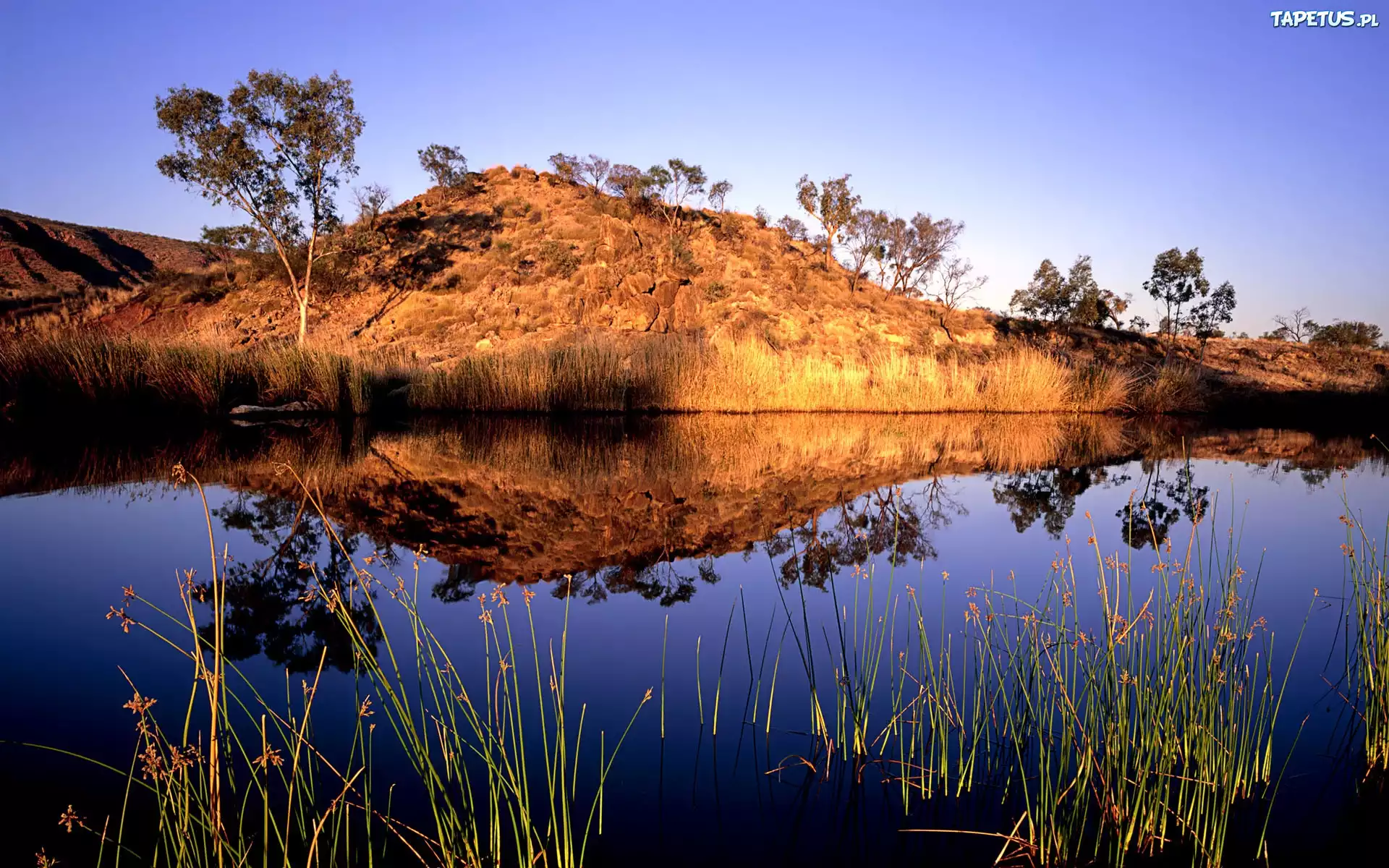 Australia, Woda, Pagórek, Trawy