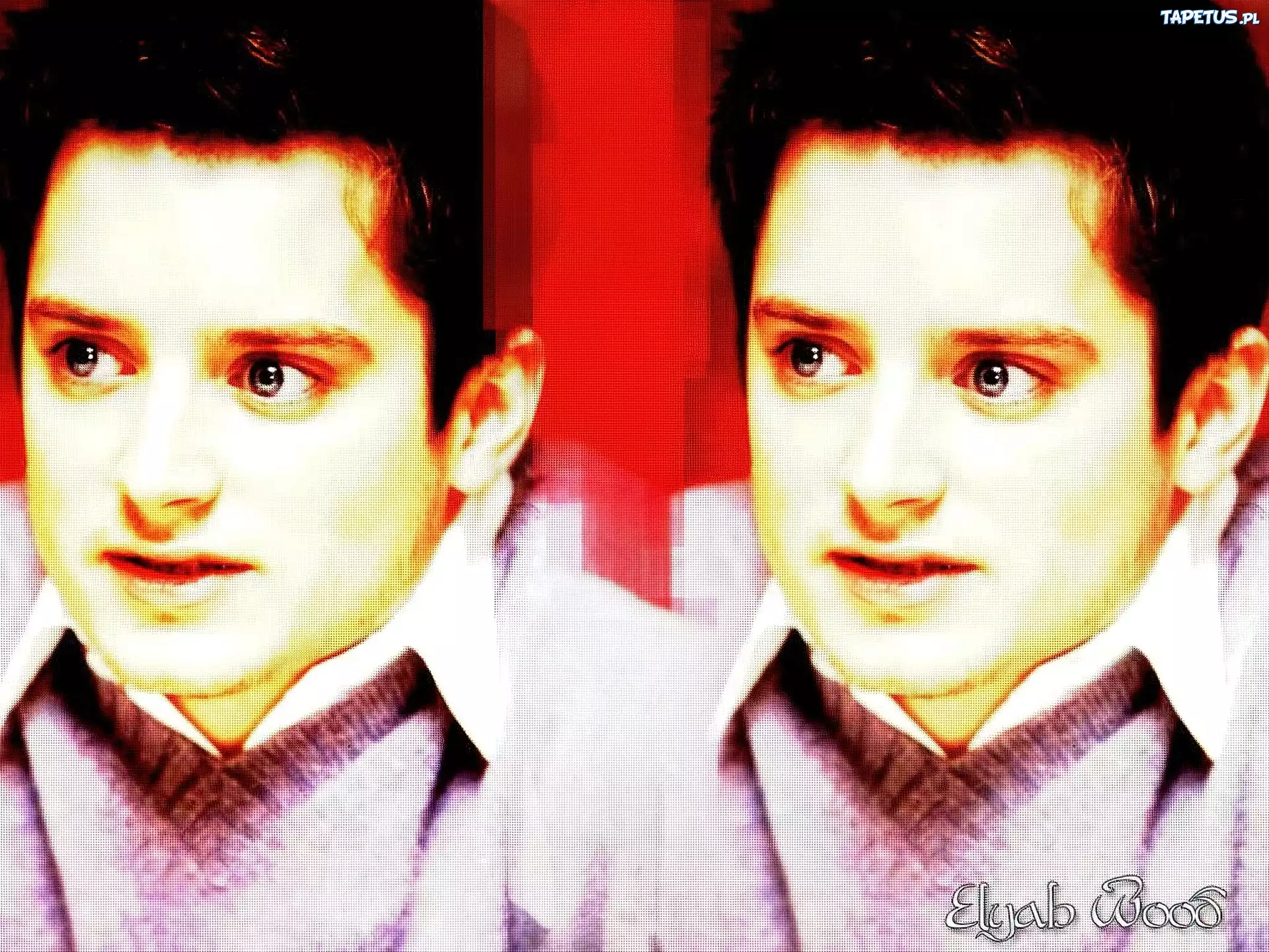 Elijah Wood,niebieskie oczy, biała koszula