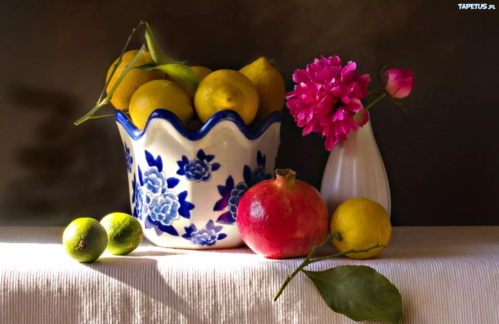 Kwiat, Cytryny, Granat, Porcelana