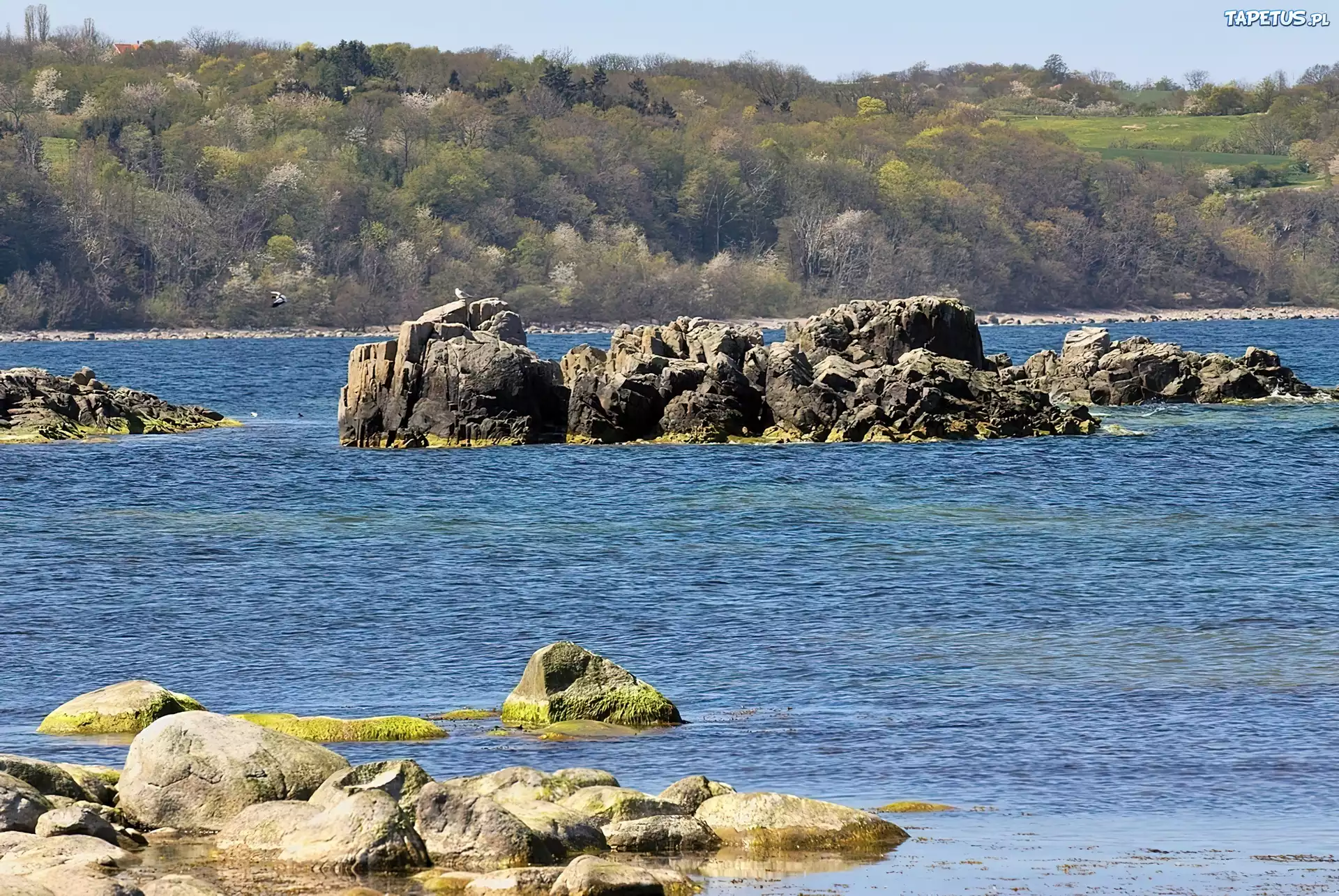 Bornholm, Dania