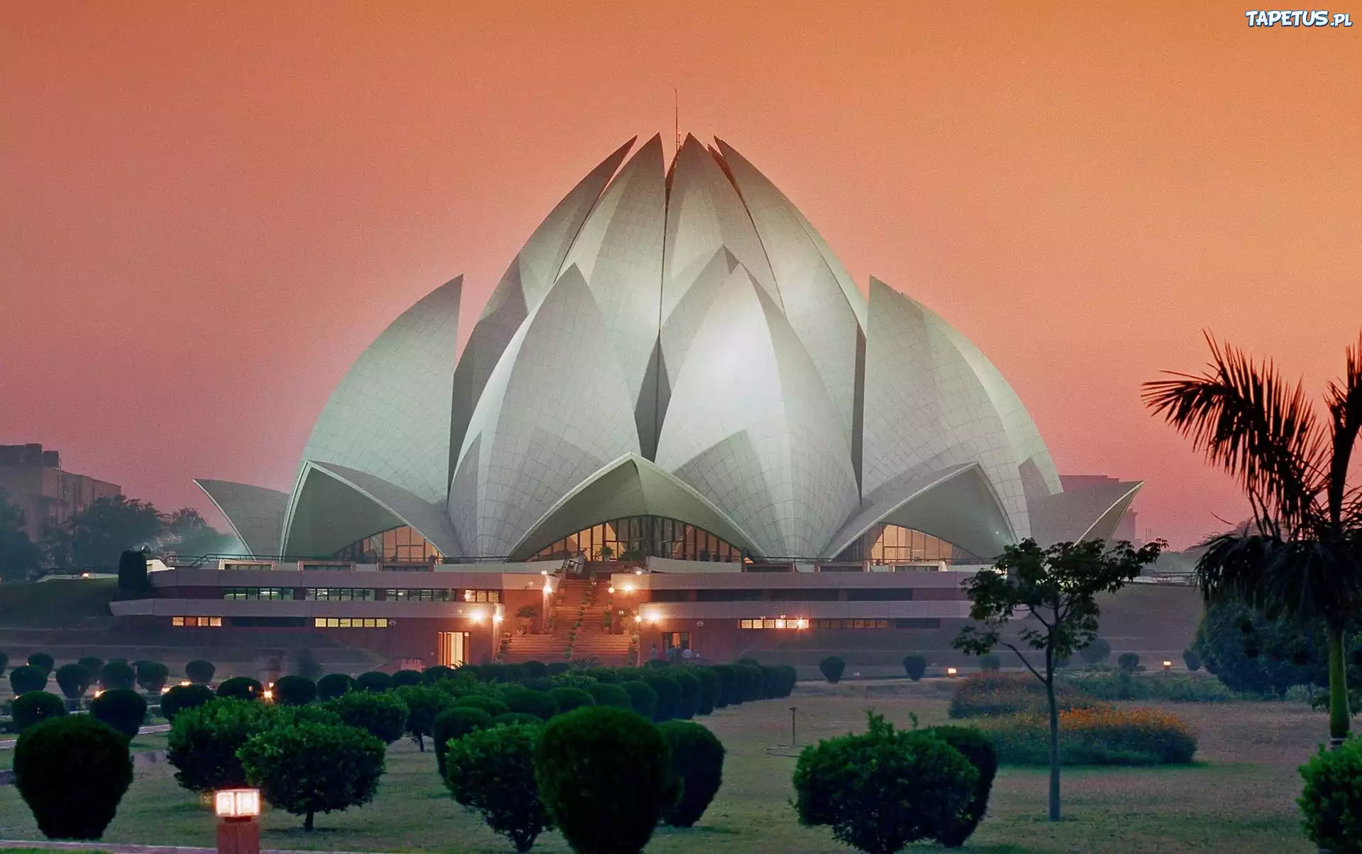 Lotos, Delhi, Drzewka