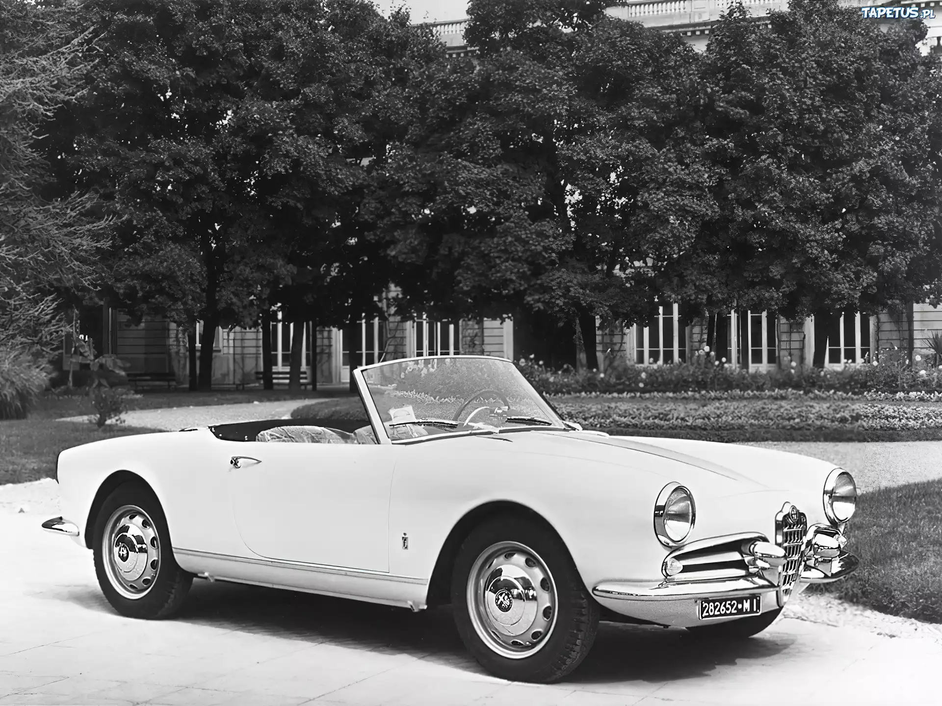 Alfa Romeo,koła ,światła, opony , maska