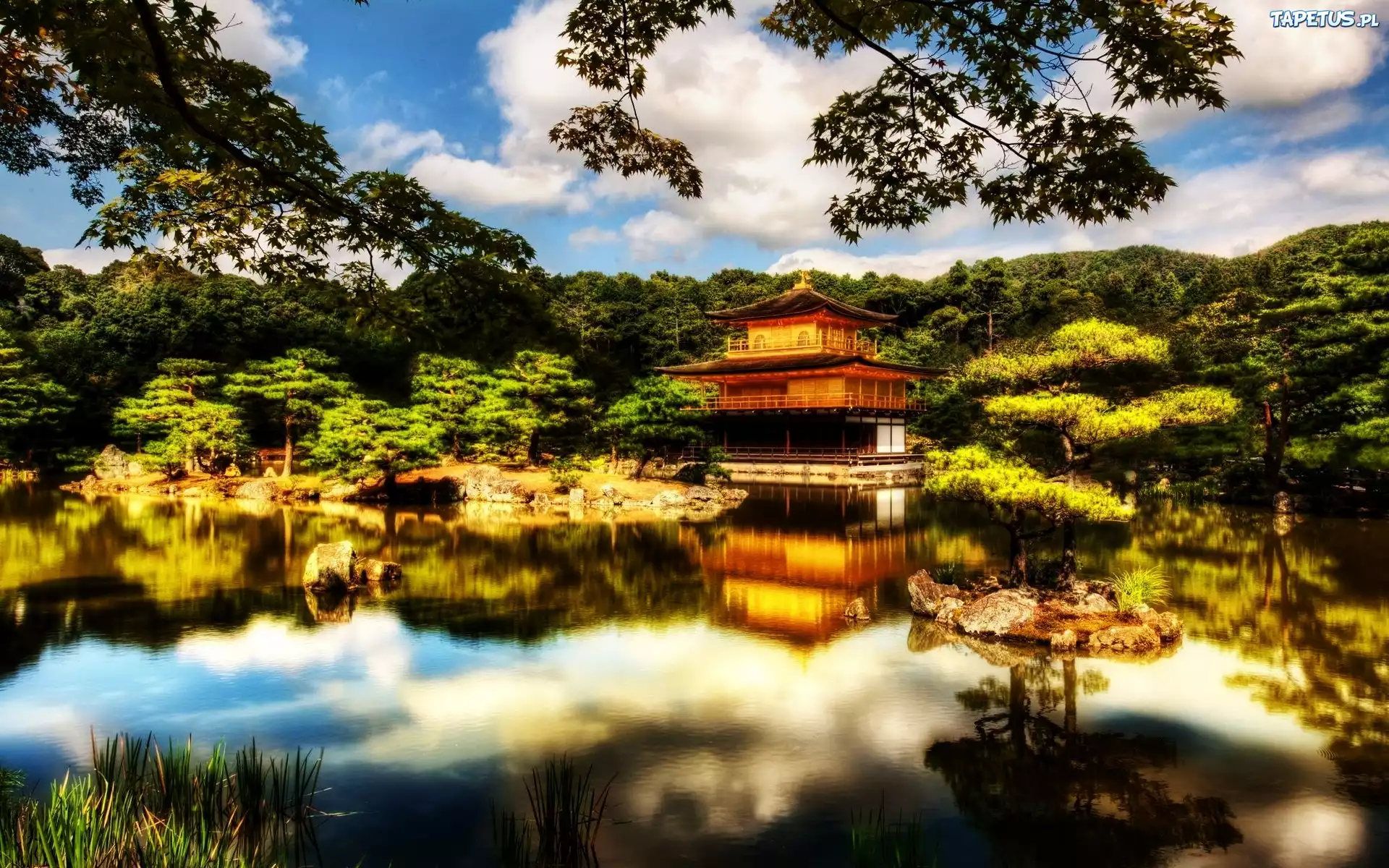 Woda, Dom, Las, Japonia