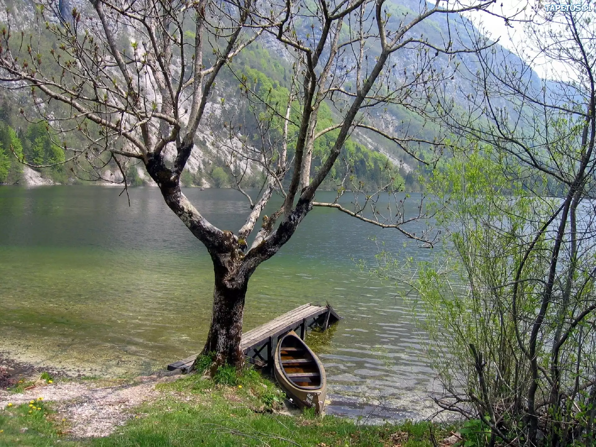Jezioro, Pomost, Łódka, Drzewo