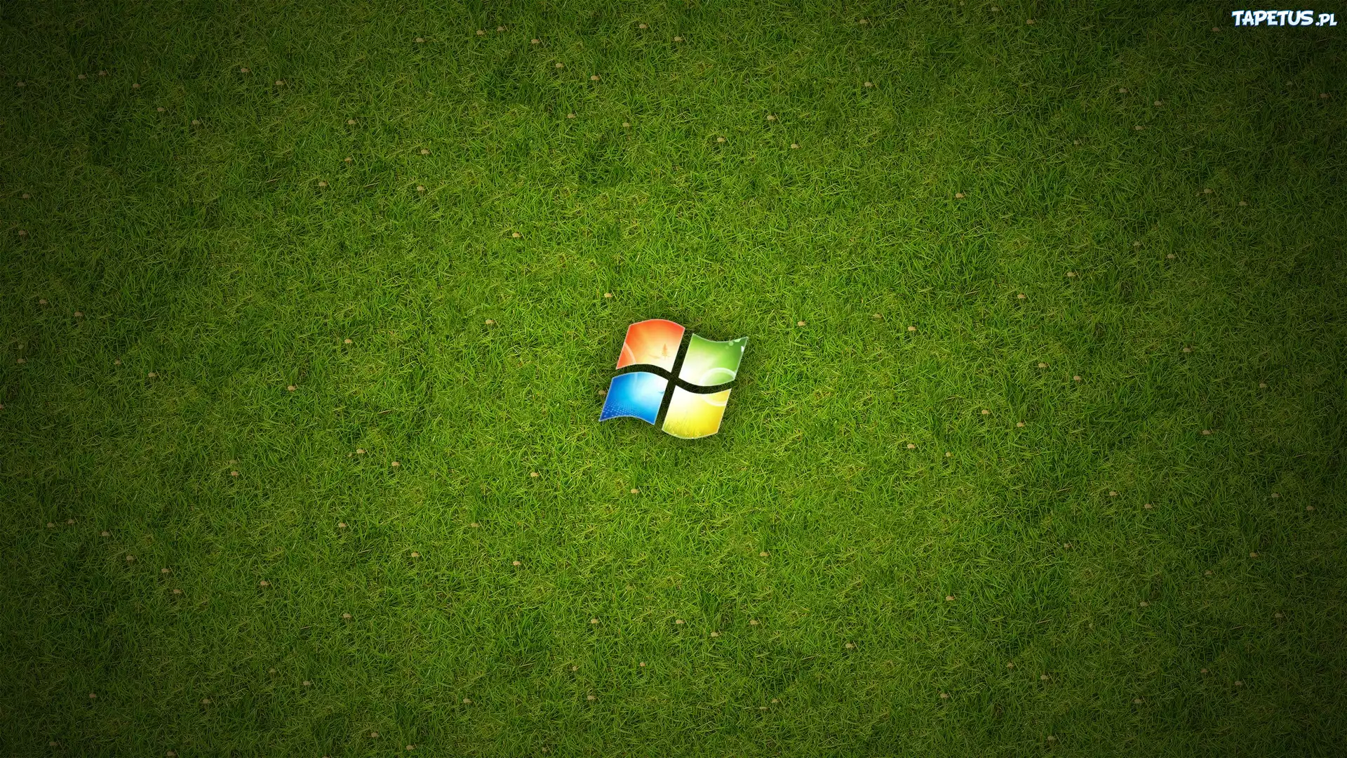 System, Operacyjny, Windows, Siedem