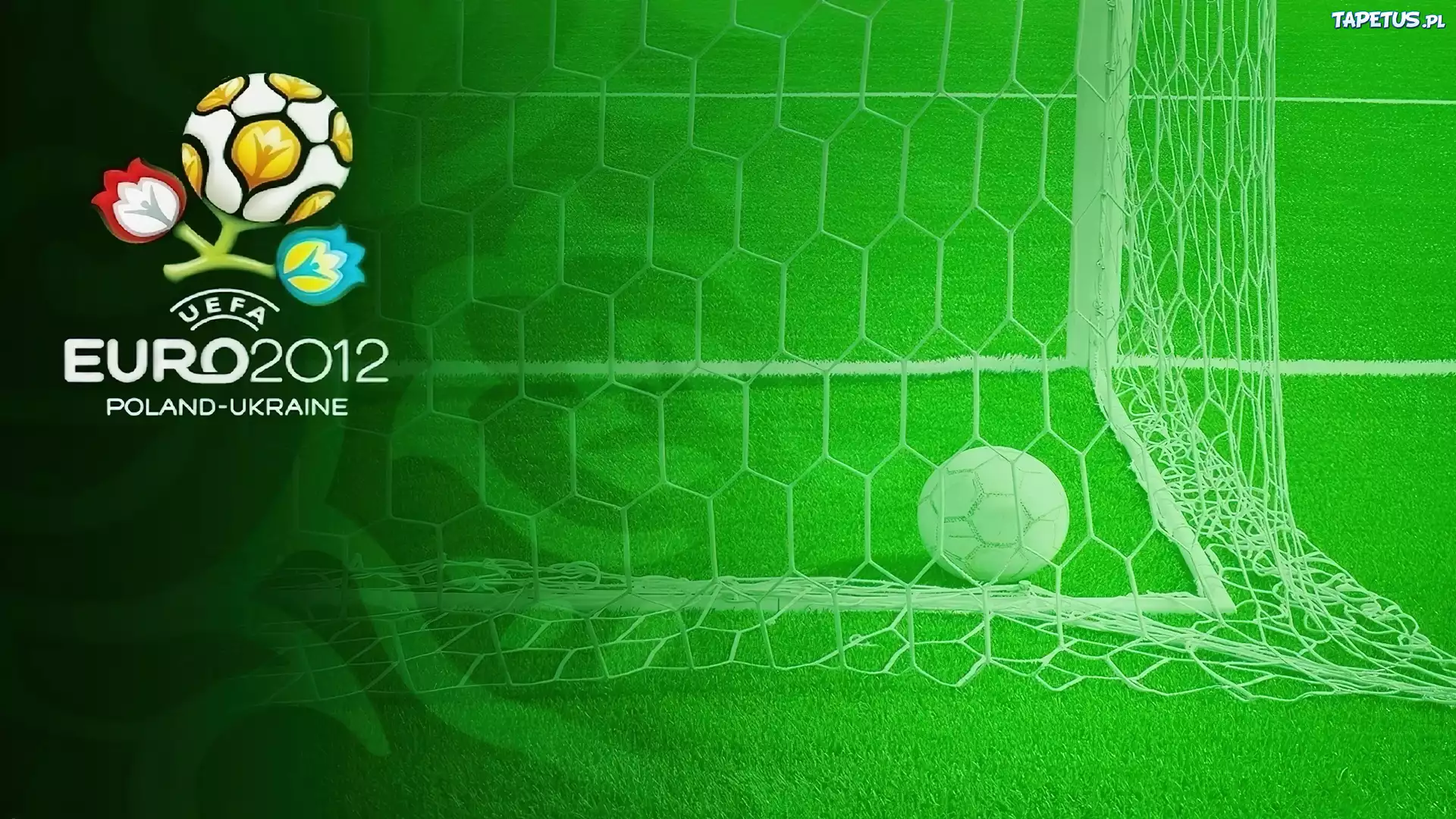 Euro 2012, Piłka, Bramka, Murawa