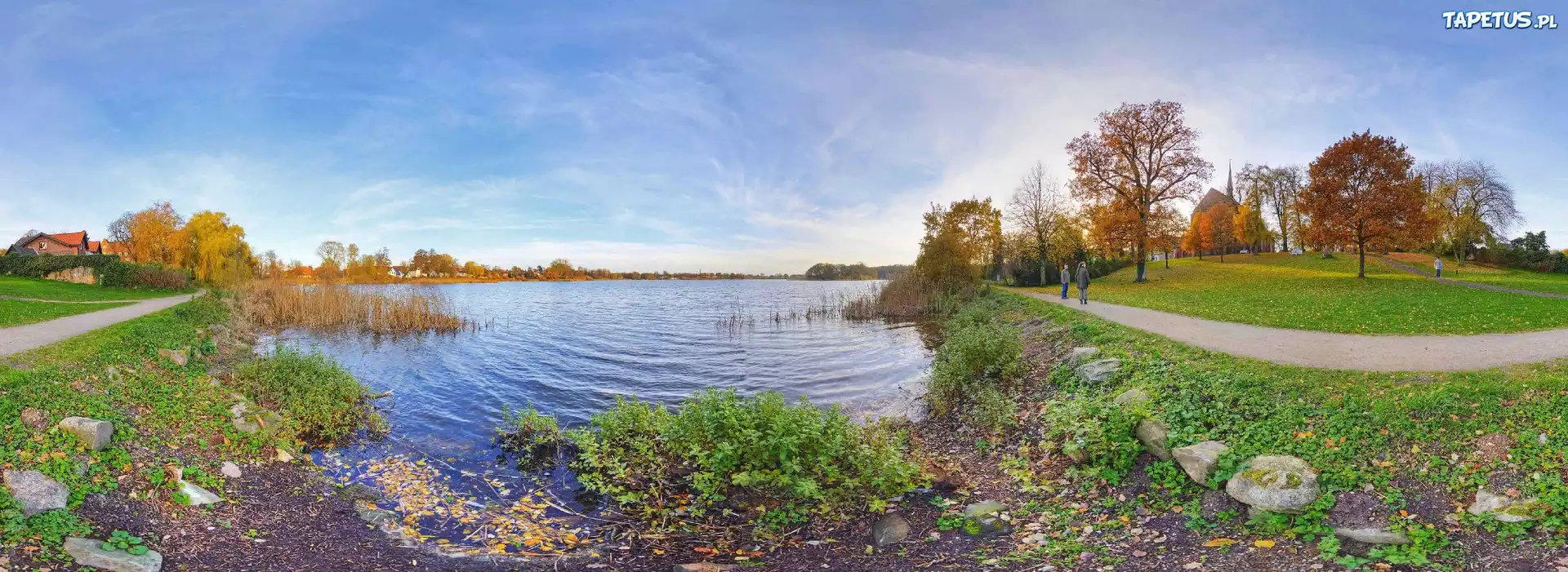 Jezioro, Park, Drzewa, Niebo