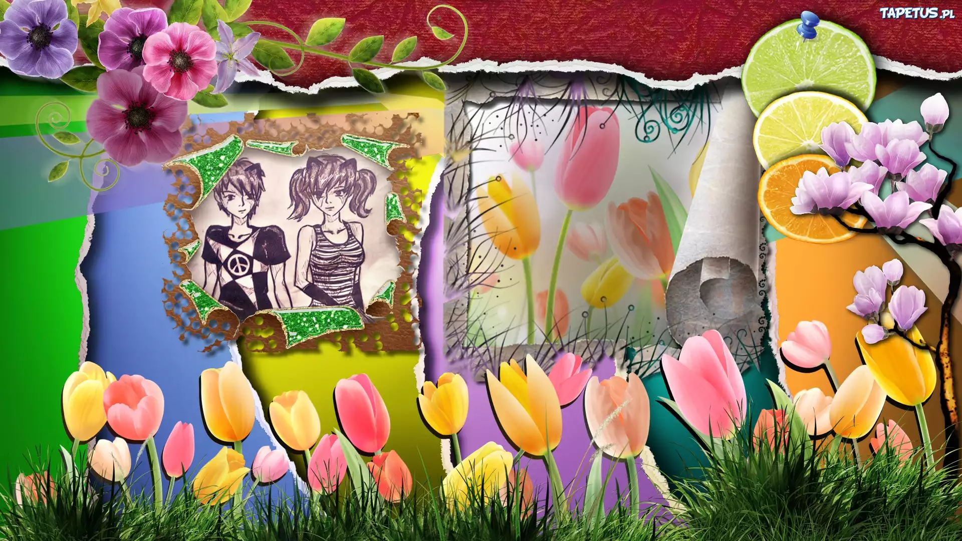 Tulipany, Trawa, Kwiaty, Cytryna, Pomarańcz