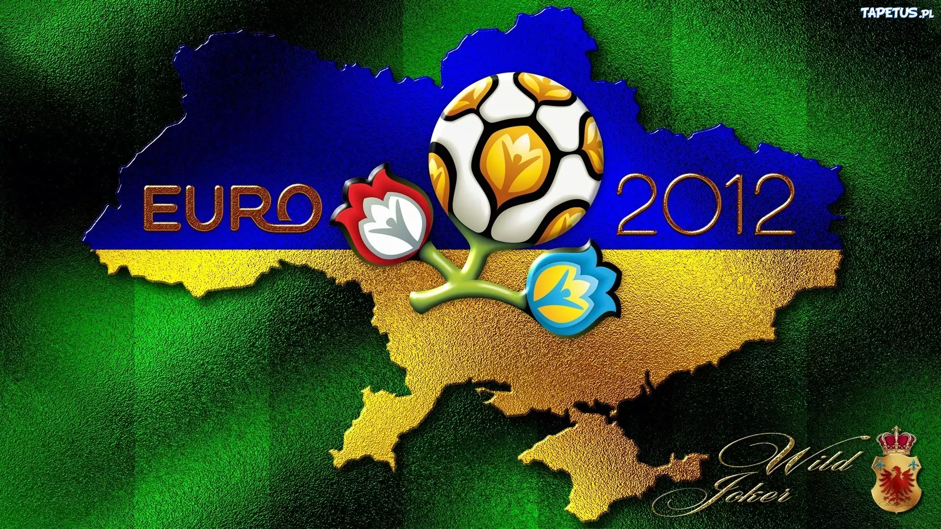 Logo uefa euro 2012 poland-ukraine бесплатно