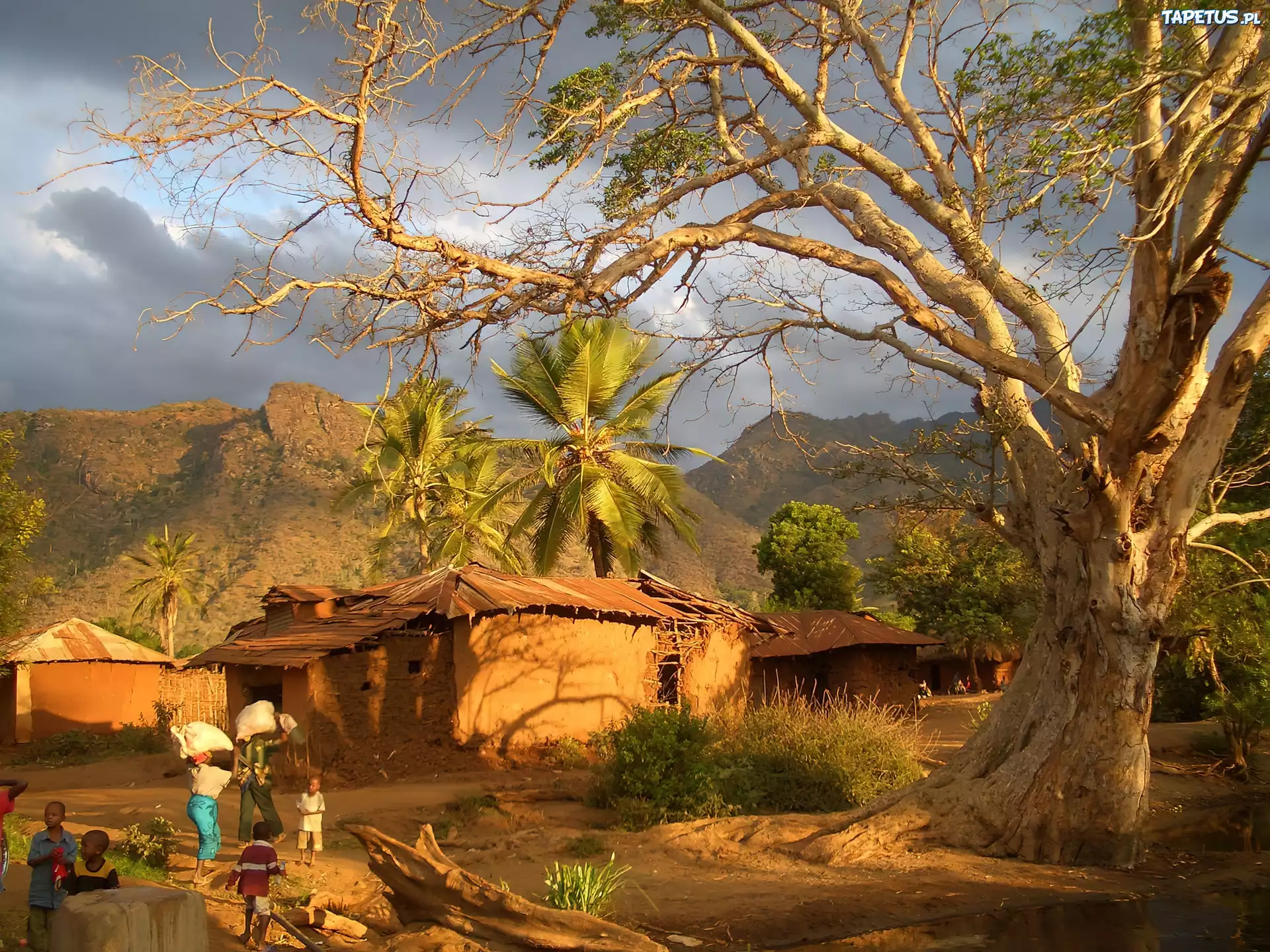 Góry, Wioska, Drzewo, Mieszkańcy, Tanzania