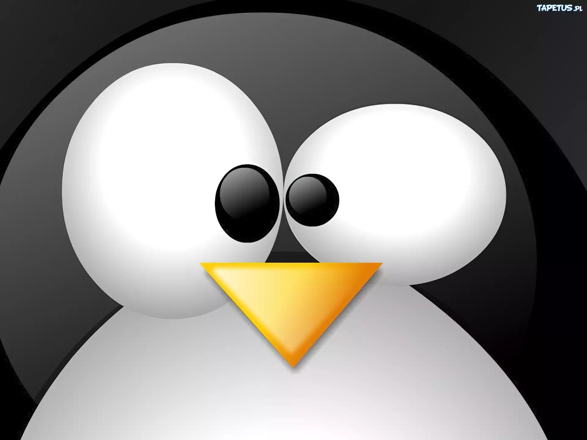 Linux, pingwin, grafika