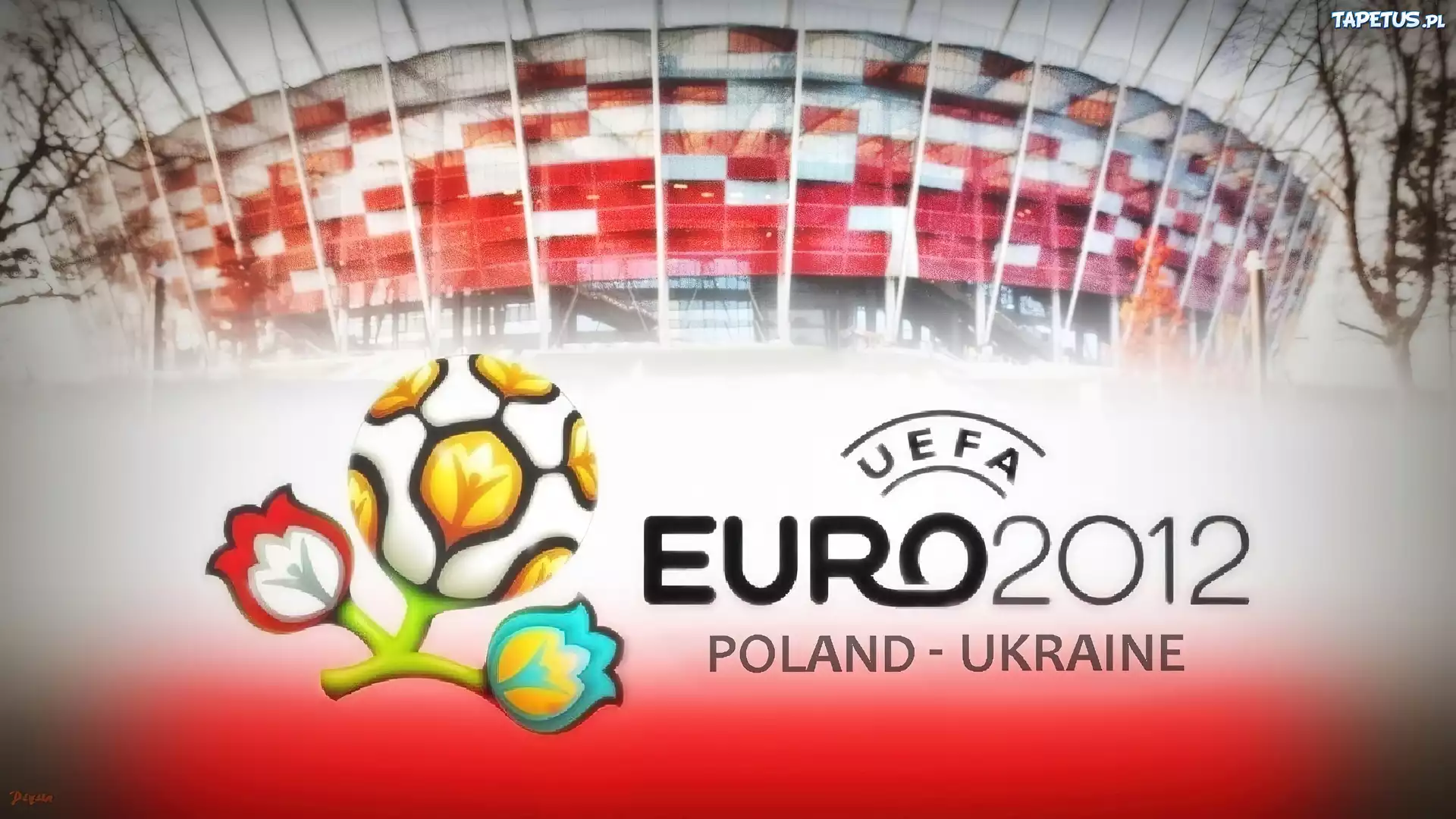 Euro 2012, Stadion, Narodowy