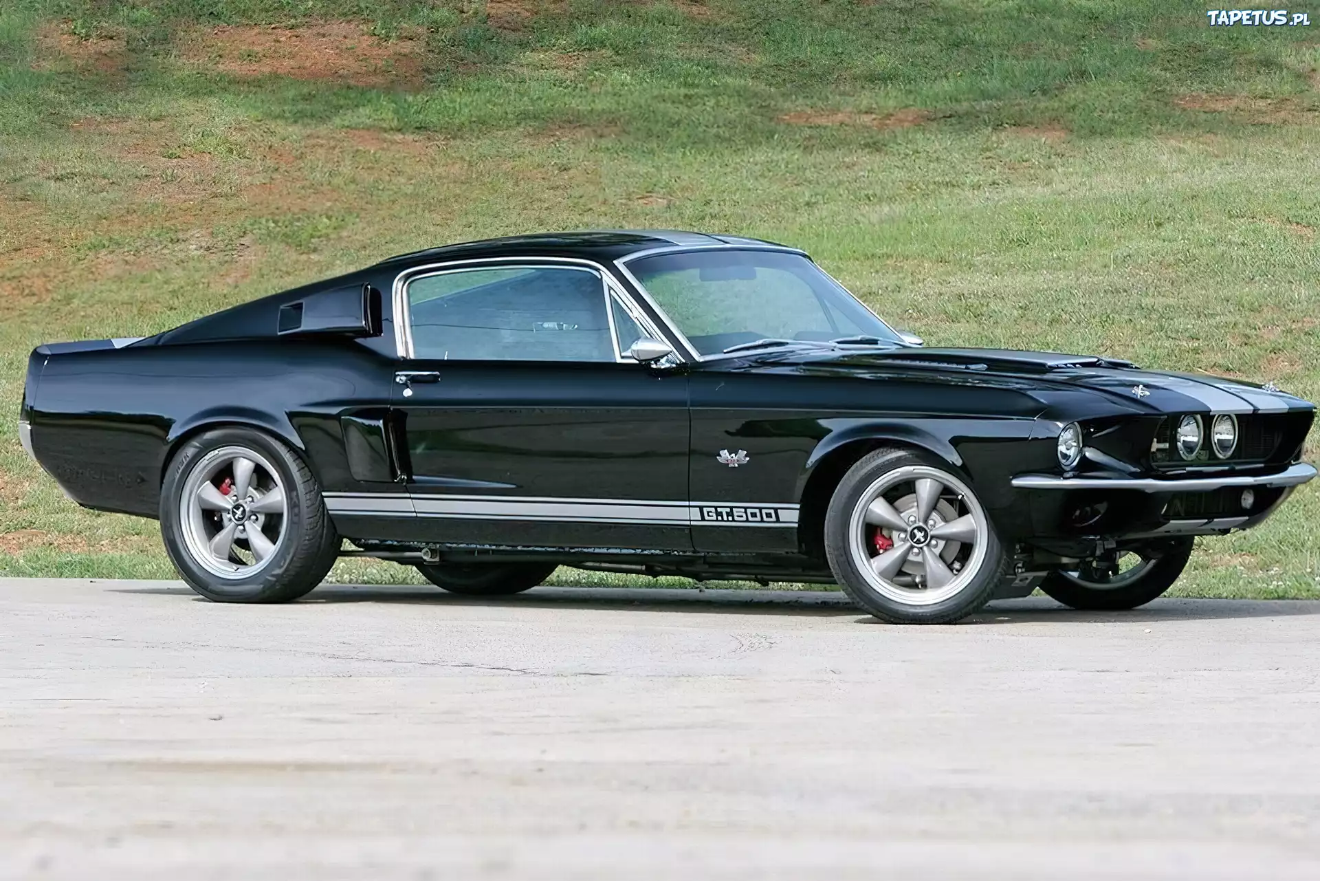 Ford Mustang GT 500