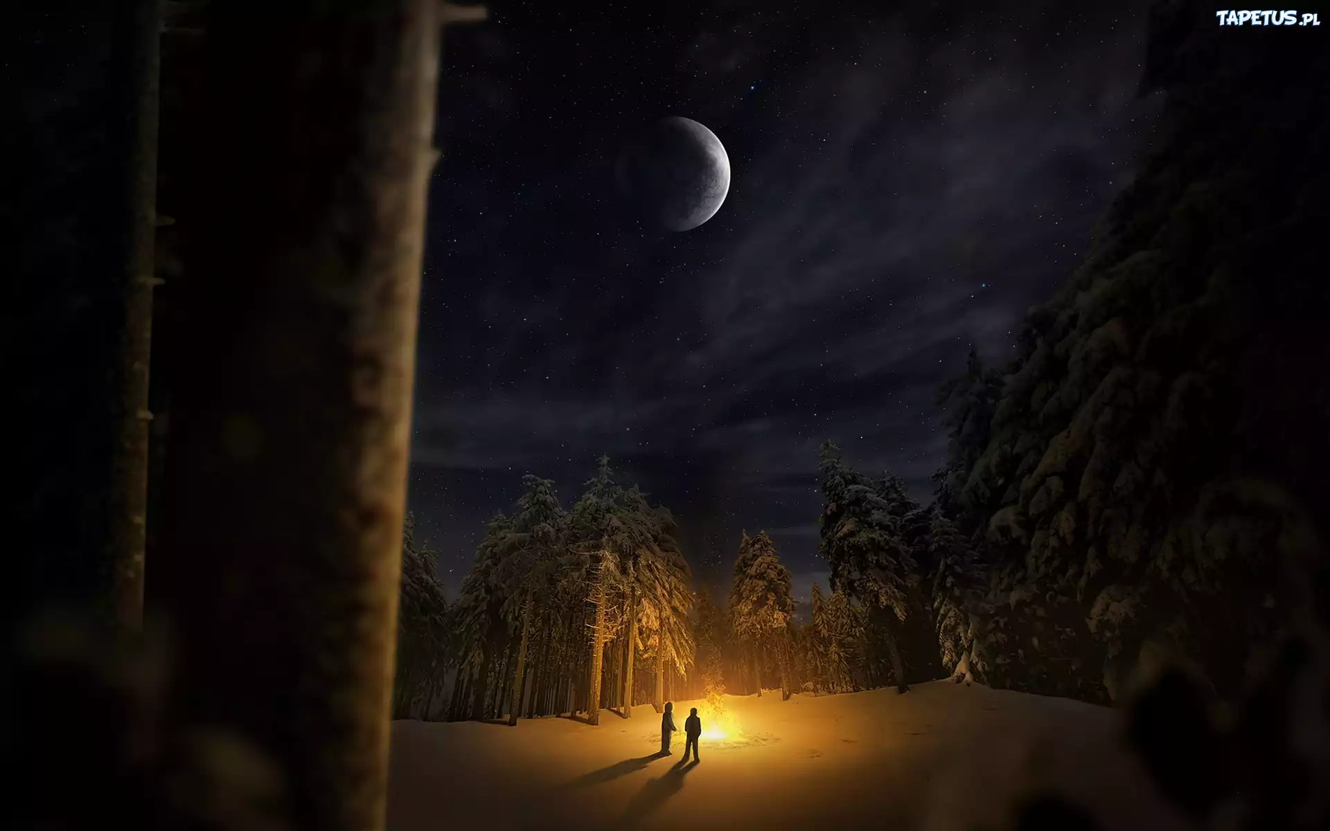 Zima, Las, Ognisko