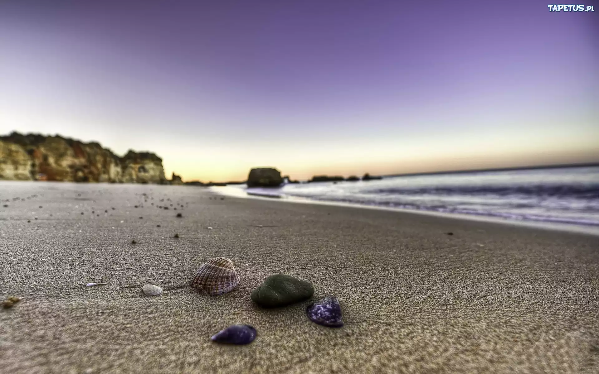 Morze, Fale, Plaża, Muszelki