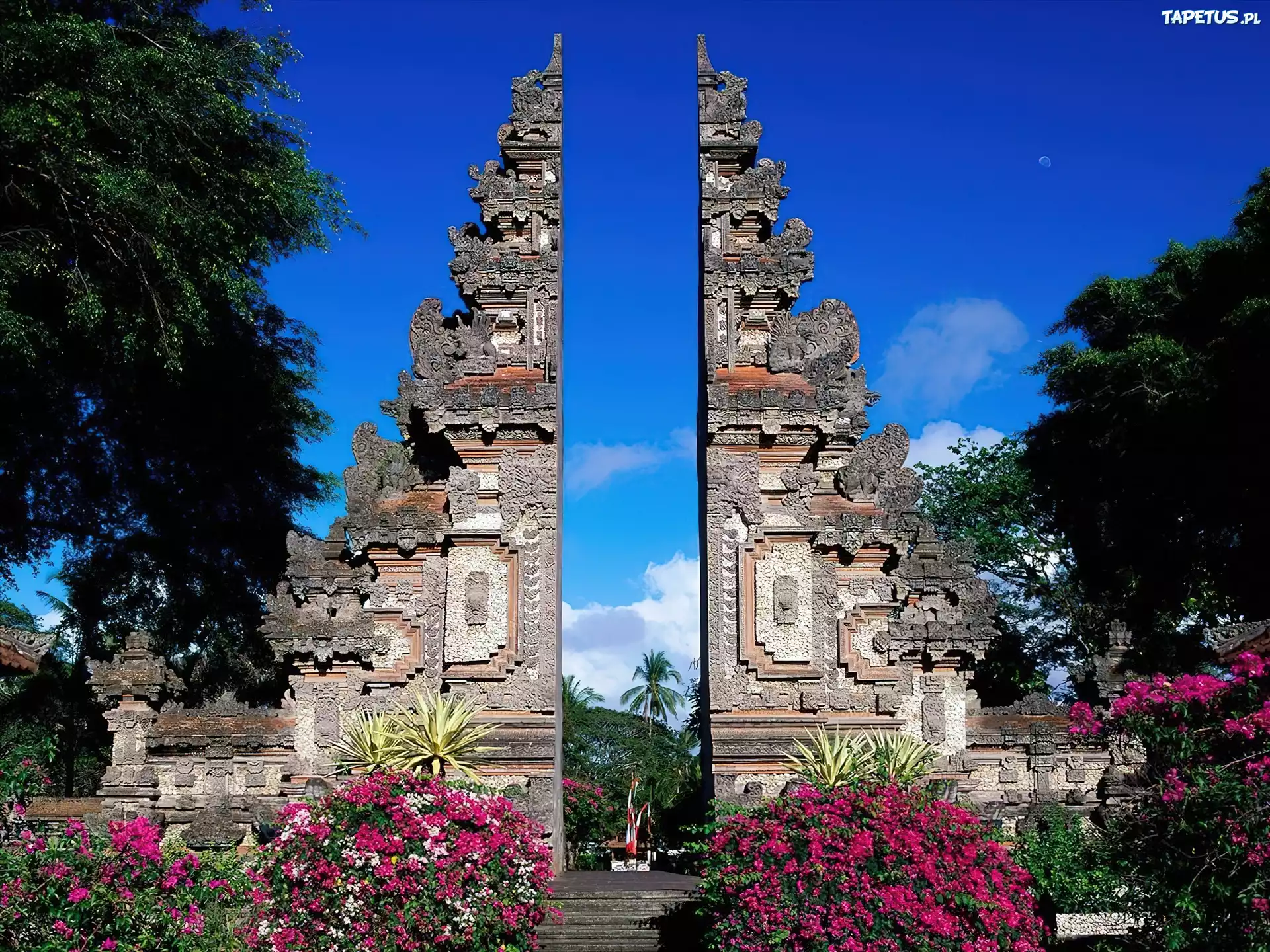 Indonezja, Bali, Murki, Kwiaty, Drzewa