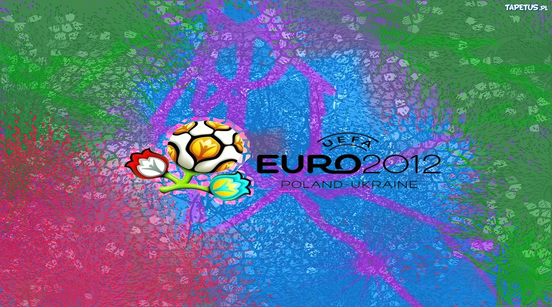 Euro, 2012, Logo