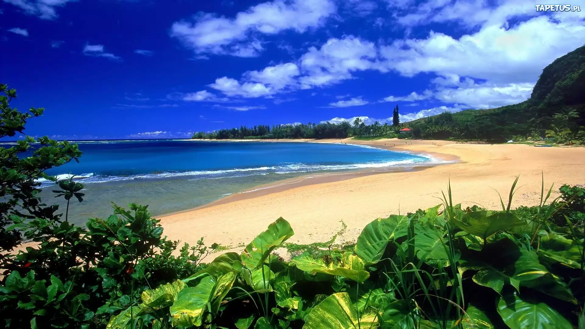 Hawaje, Kauai, Piasek, Liście, Woda